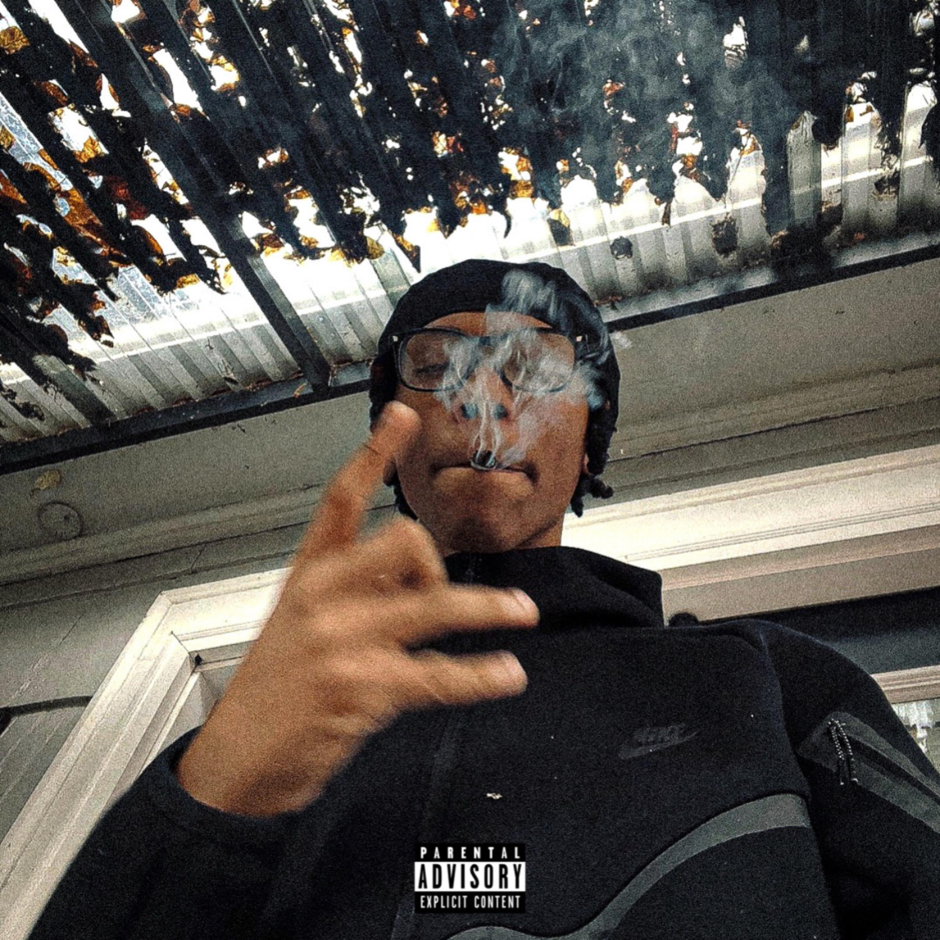 2 Songs For My Fans.. artwork