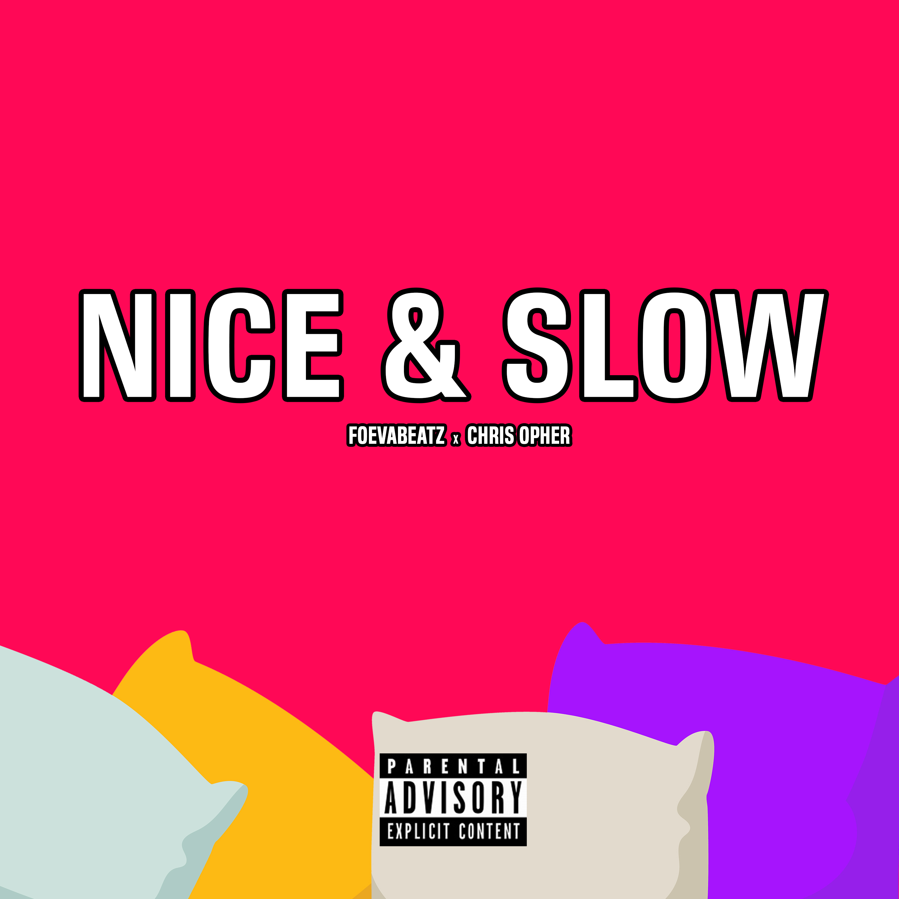 Nice & Slow artwork