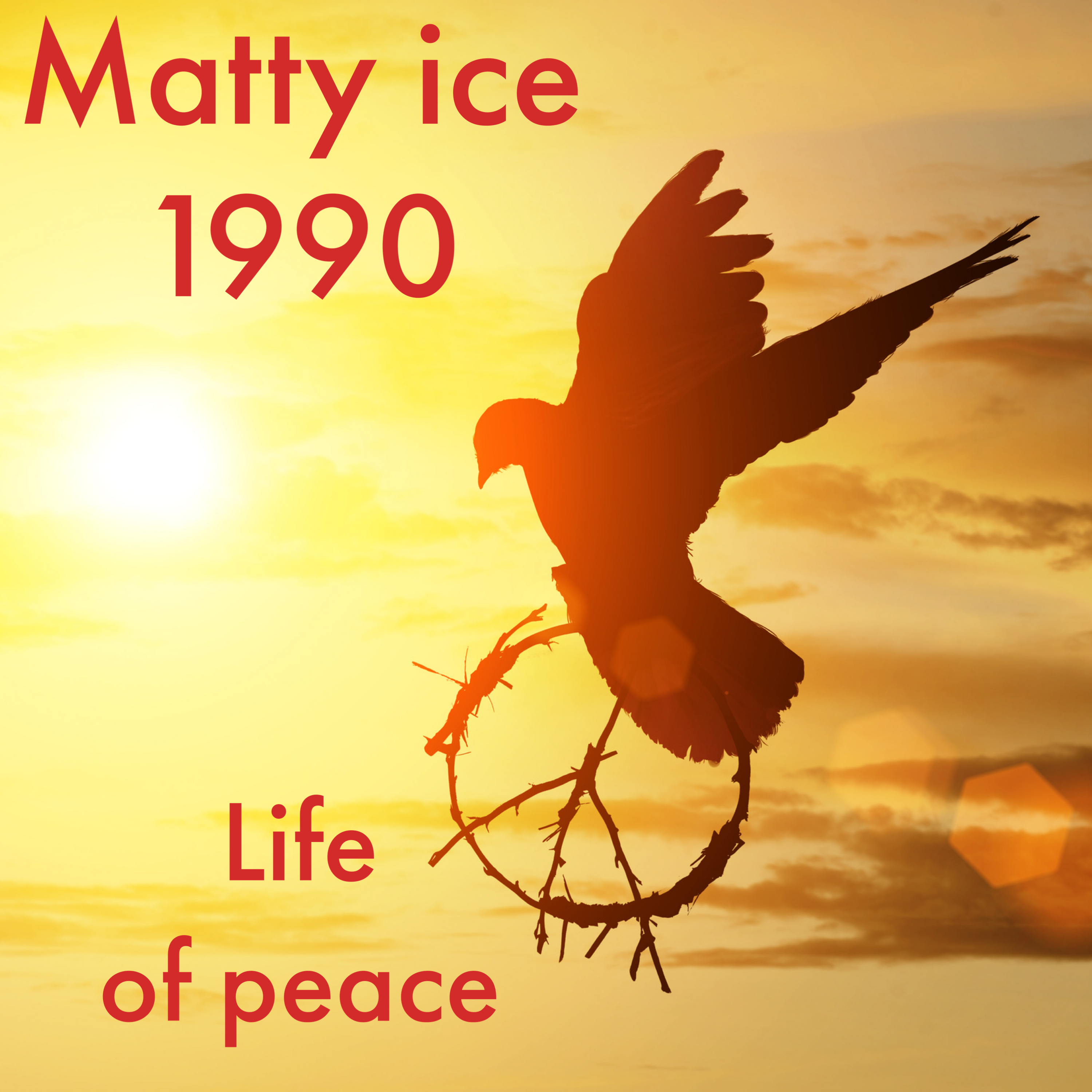 Life Of Peace artwork
