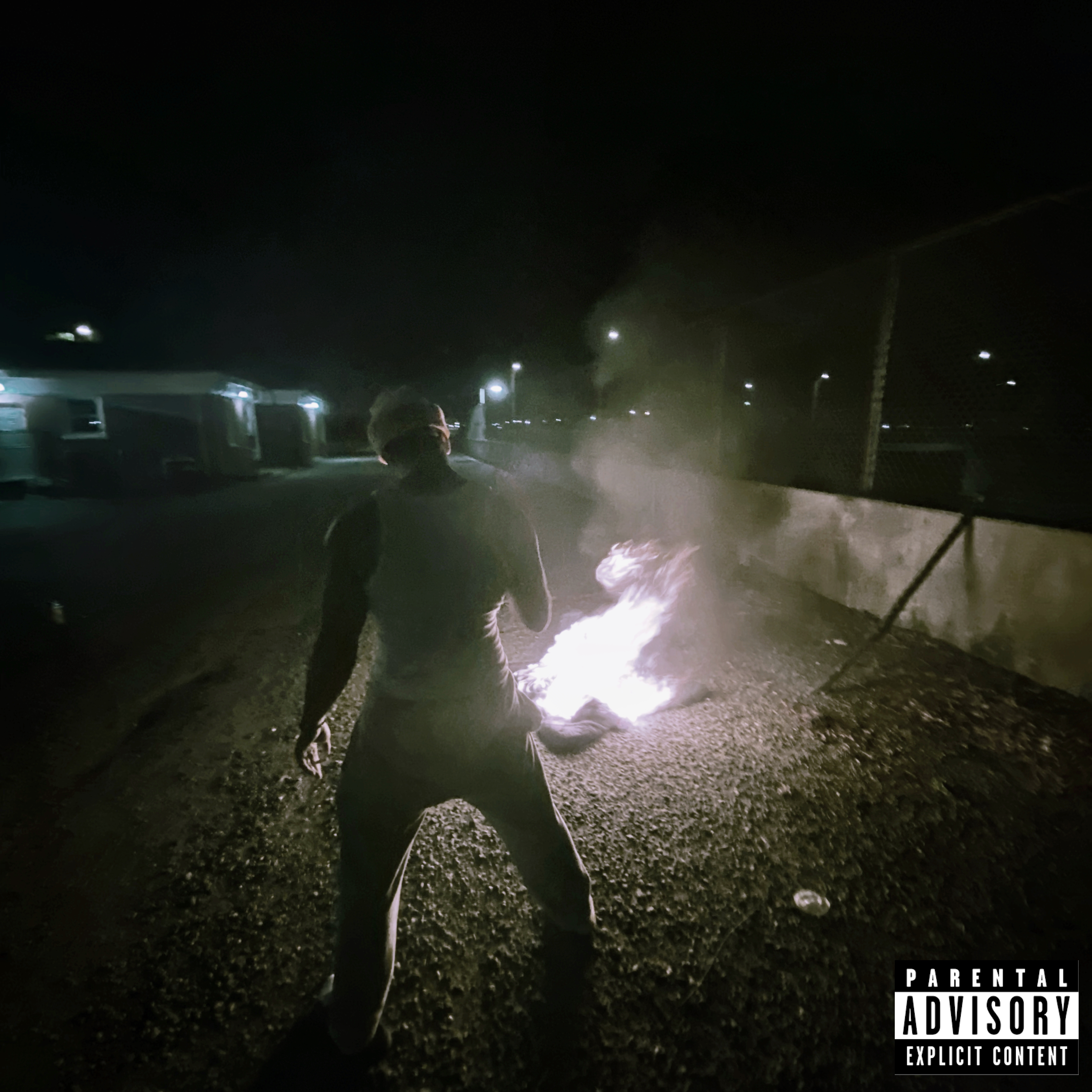 Handsome But useless artwork