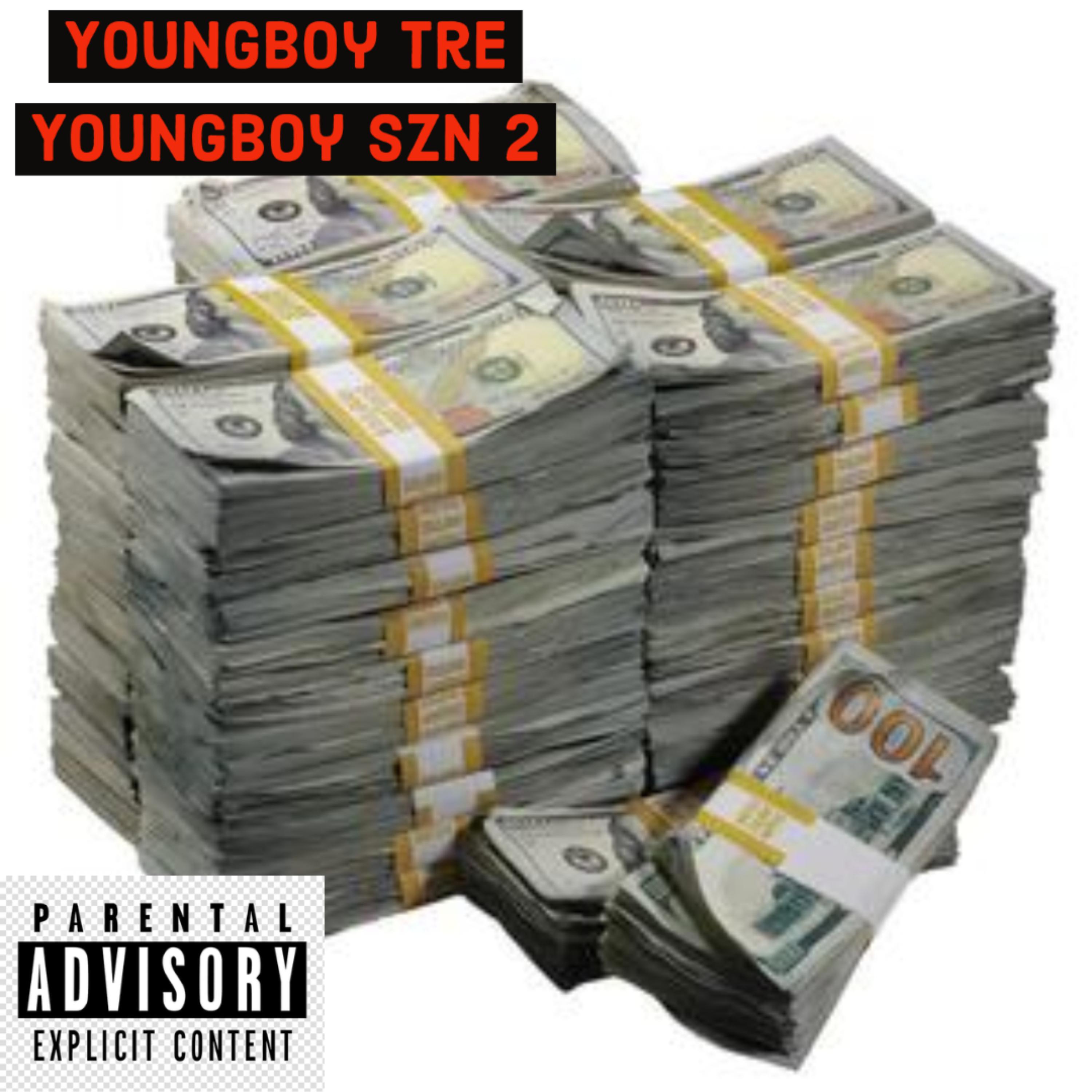 YOUNGBOY SZN 2 artwork