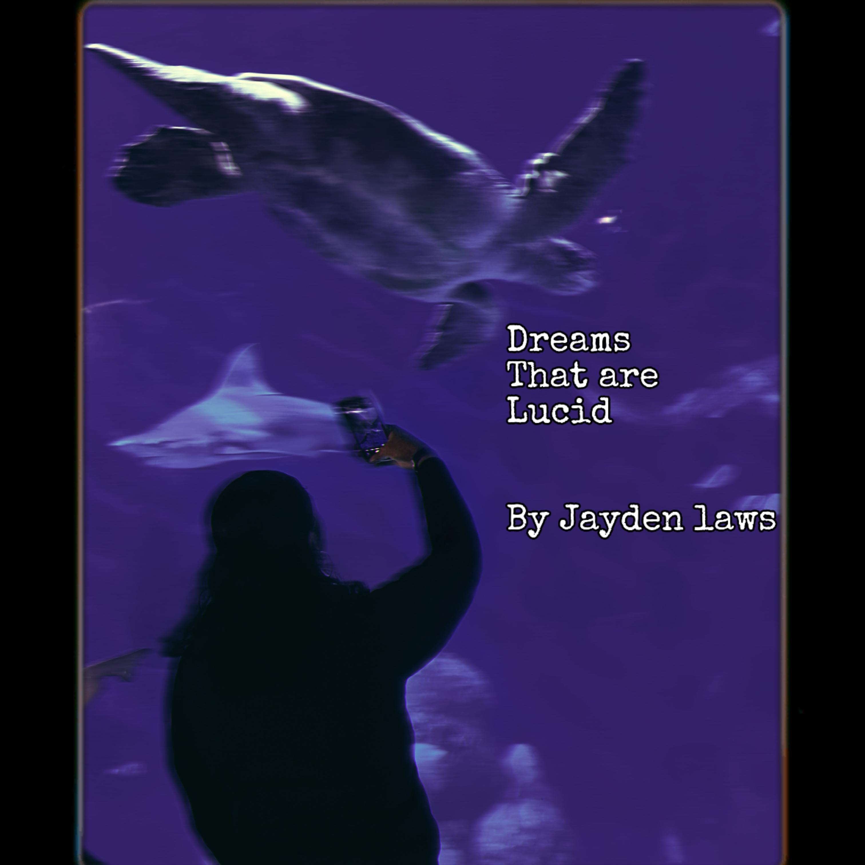 Dreams That Are Lucid artwork