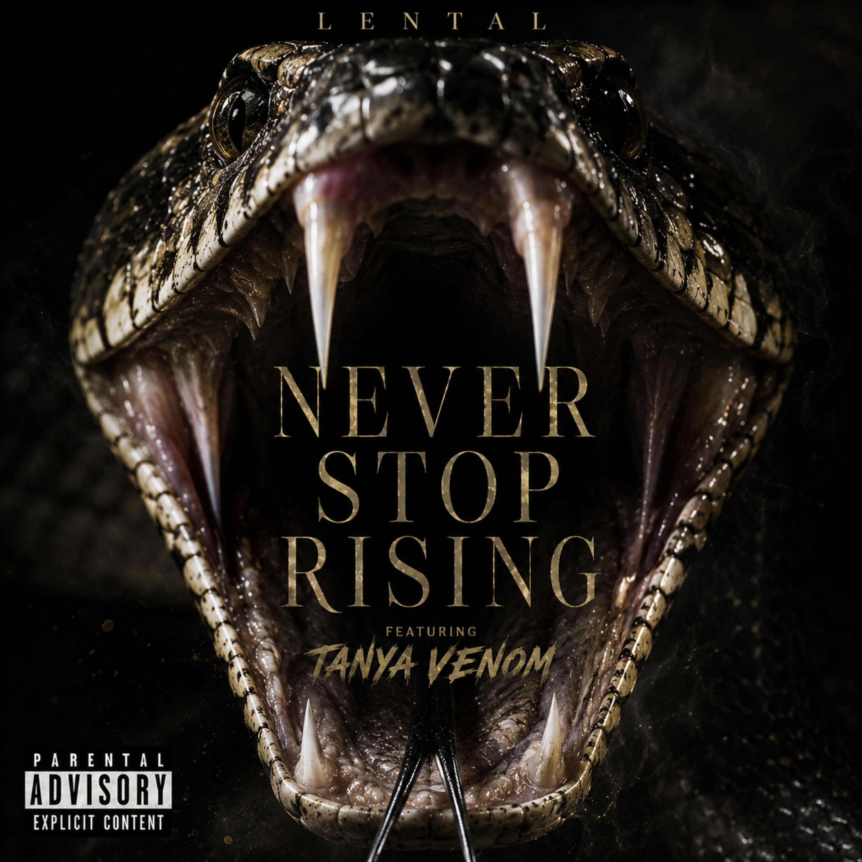 Never Stop Rising by Lental cover art