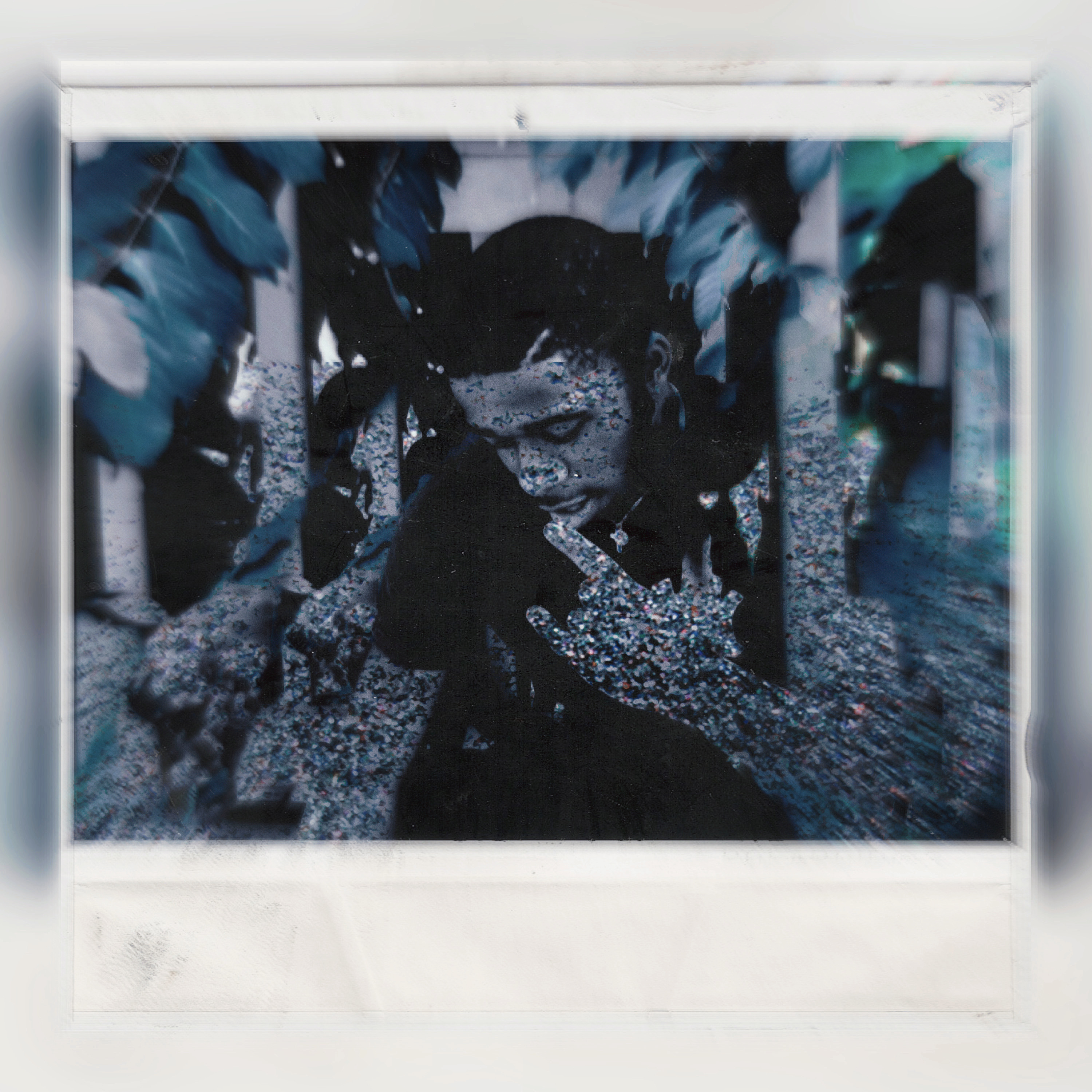 Wild In Out artwork