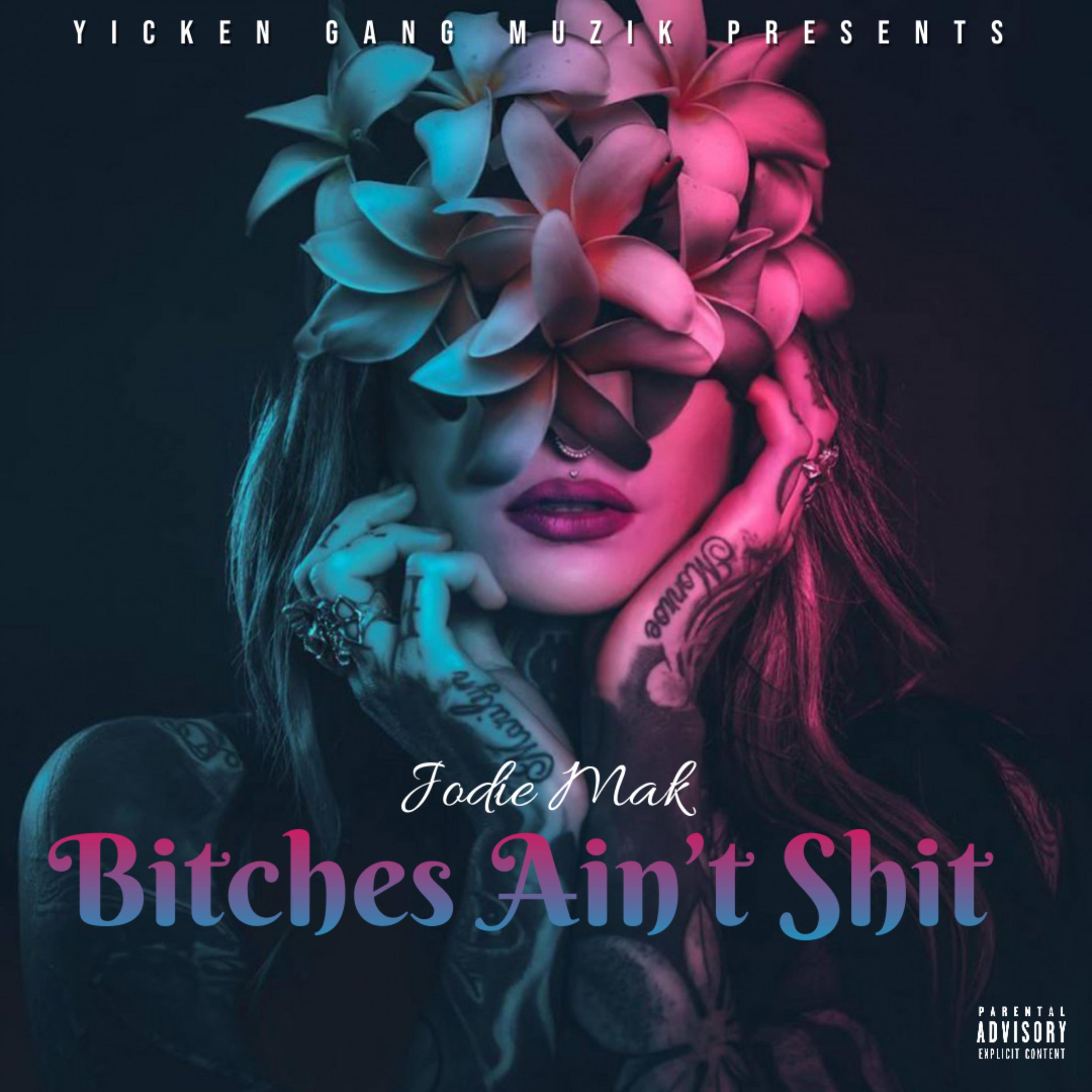 Bitches Aint Shit artwork