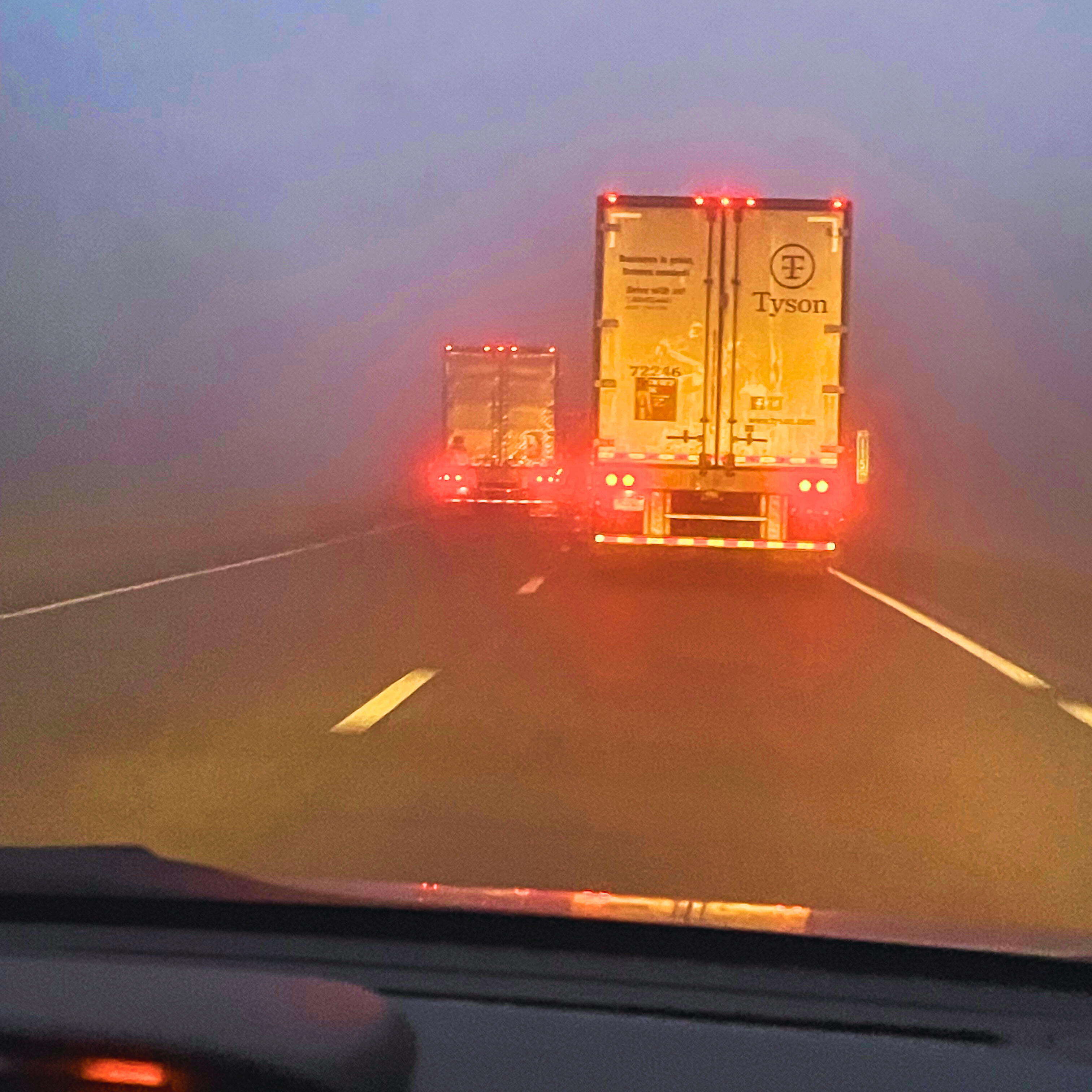 Love And Poison artwork