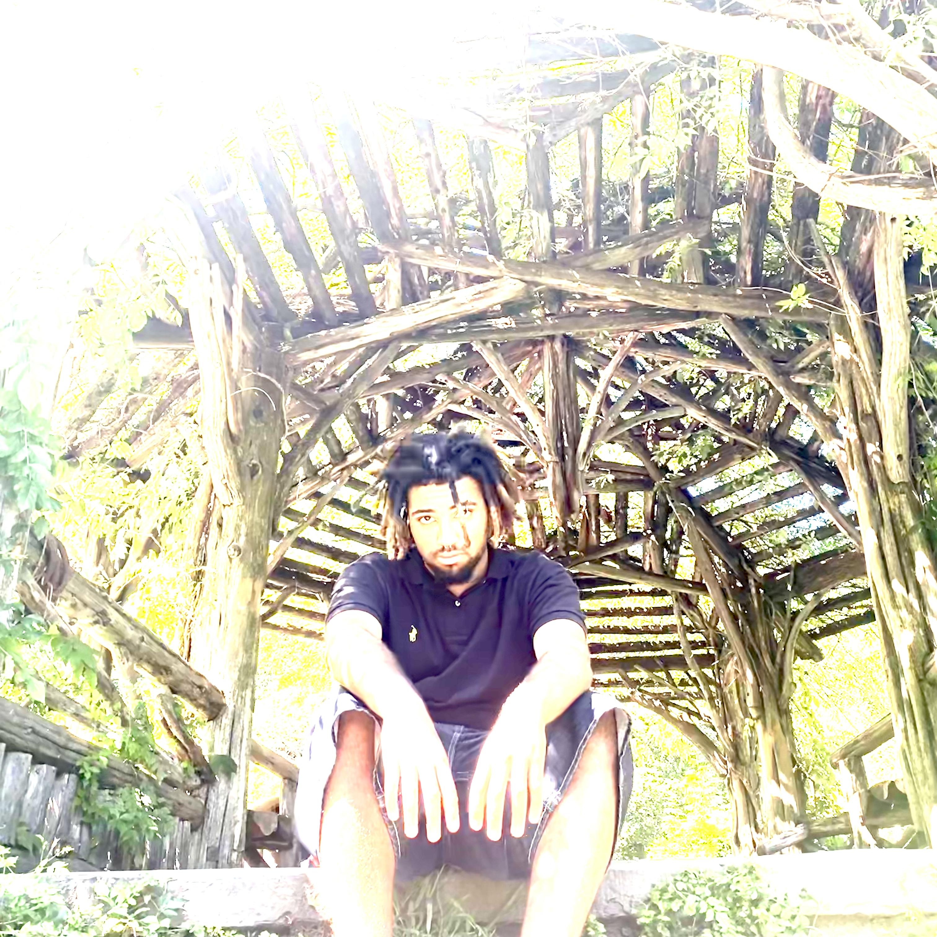 Summer's decay artwork