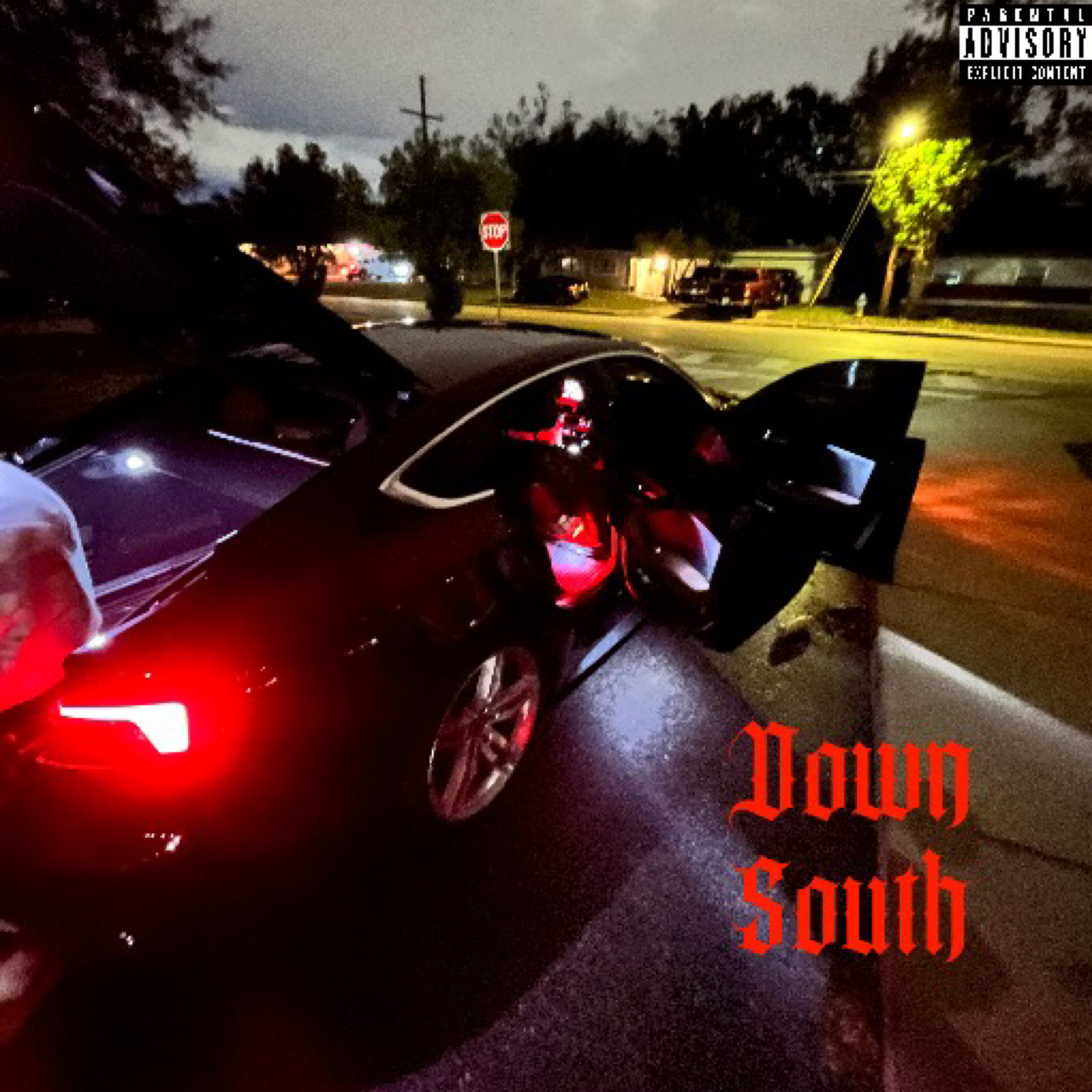 Down South artwork