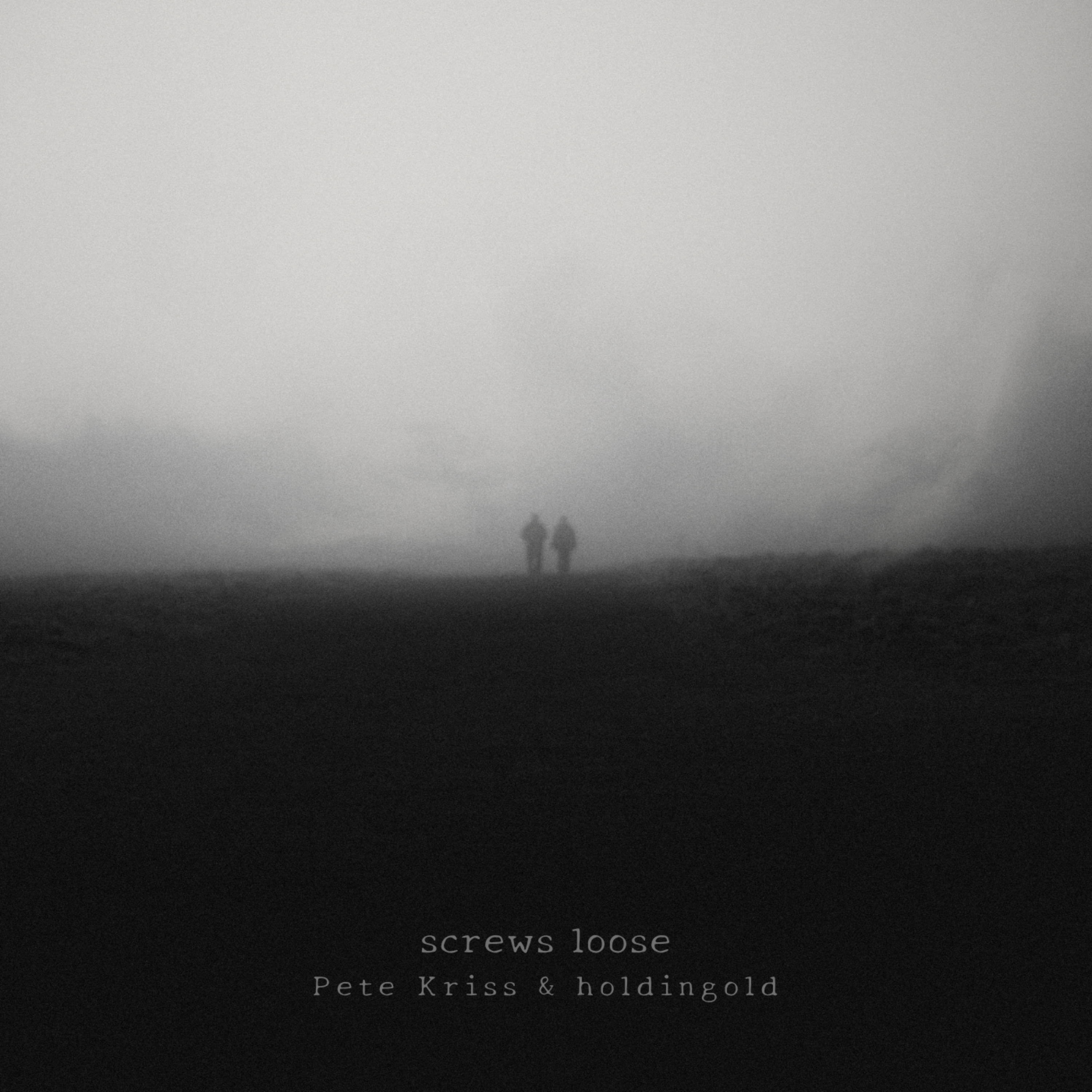 Screws Loose artwork