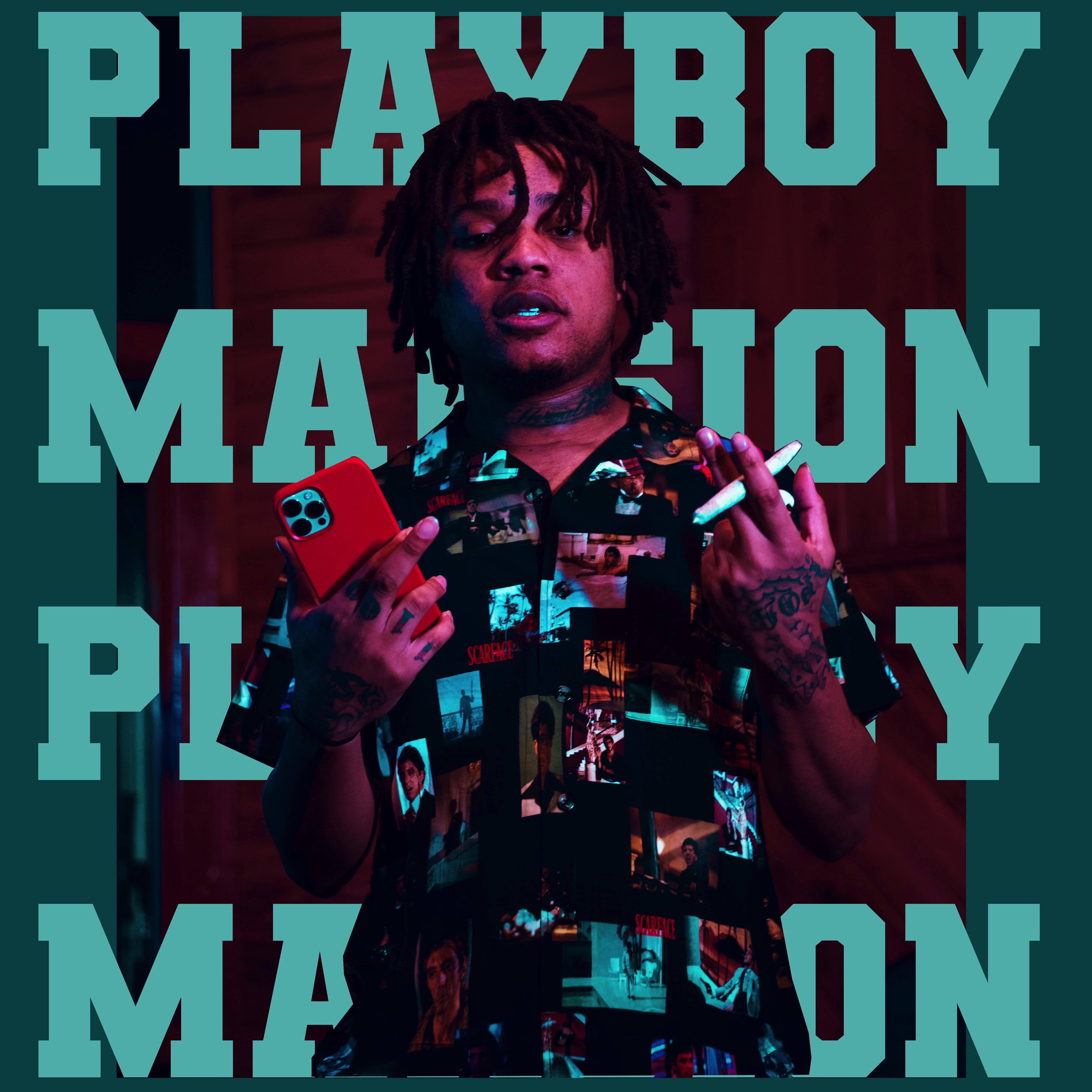 Playboy Mansion artwork