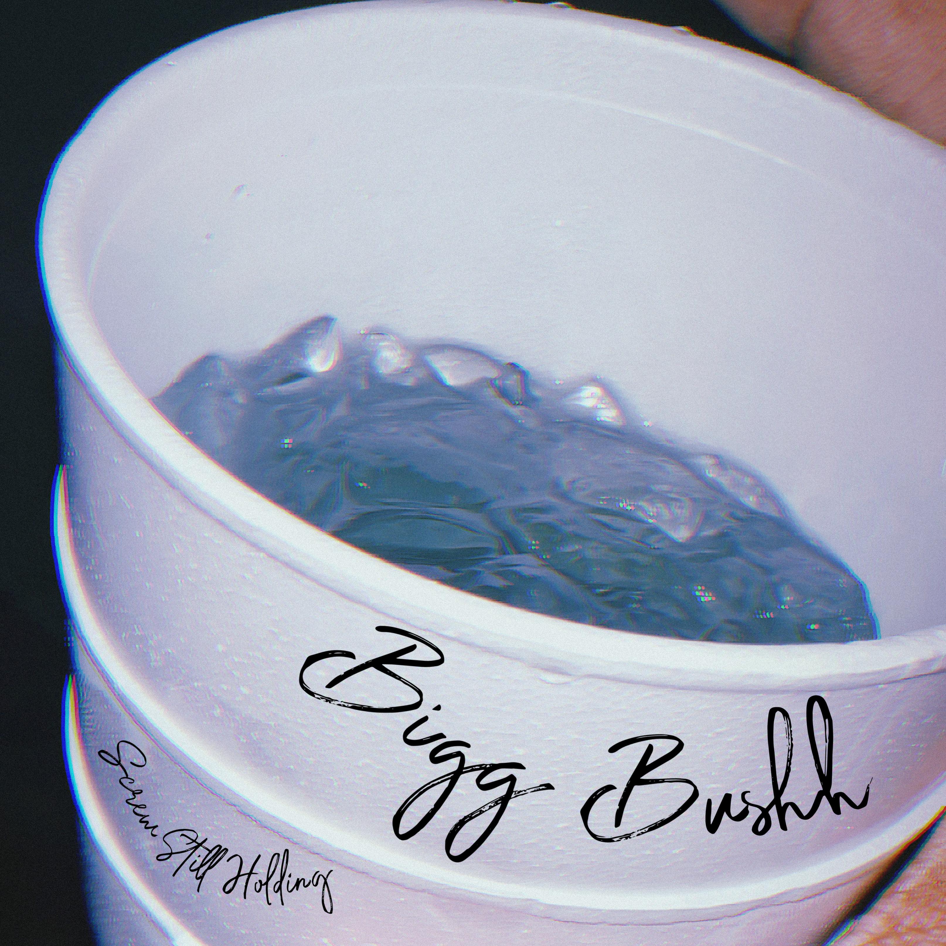 Screw Still Holdin by Bigg Bushh cover art