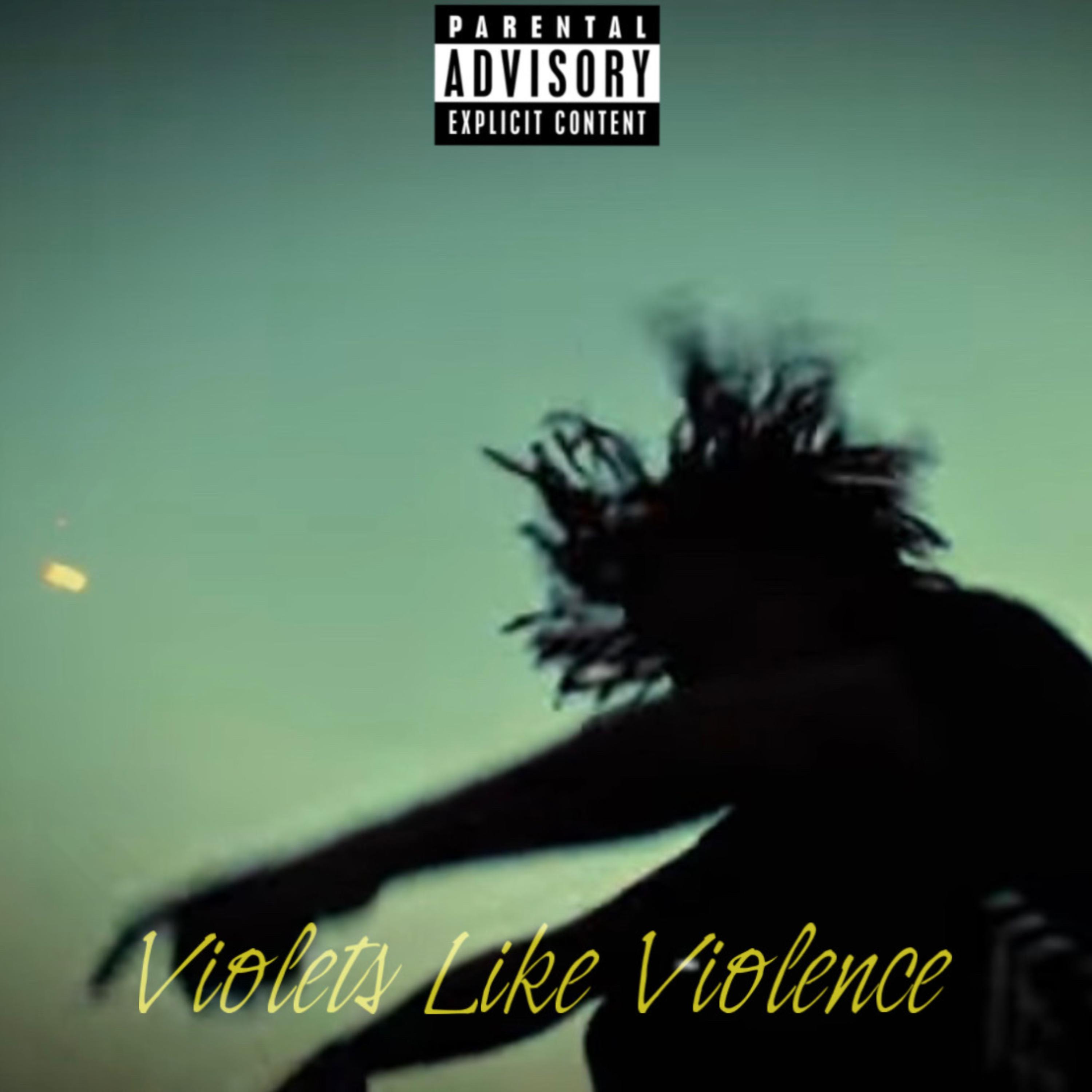 Violets Like Violence artwork