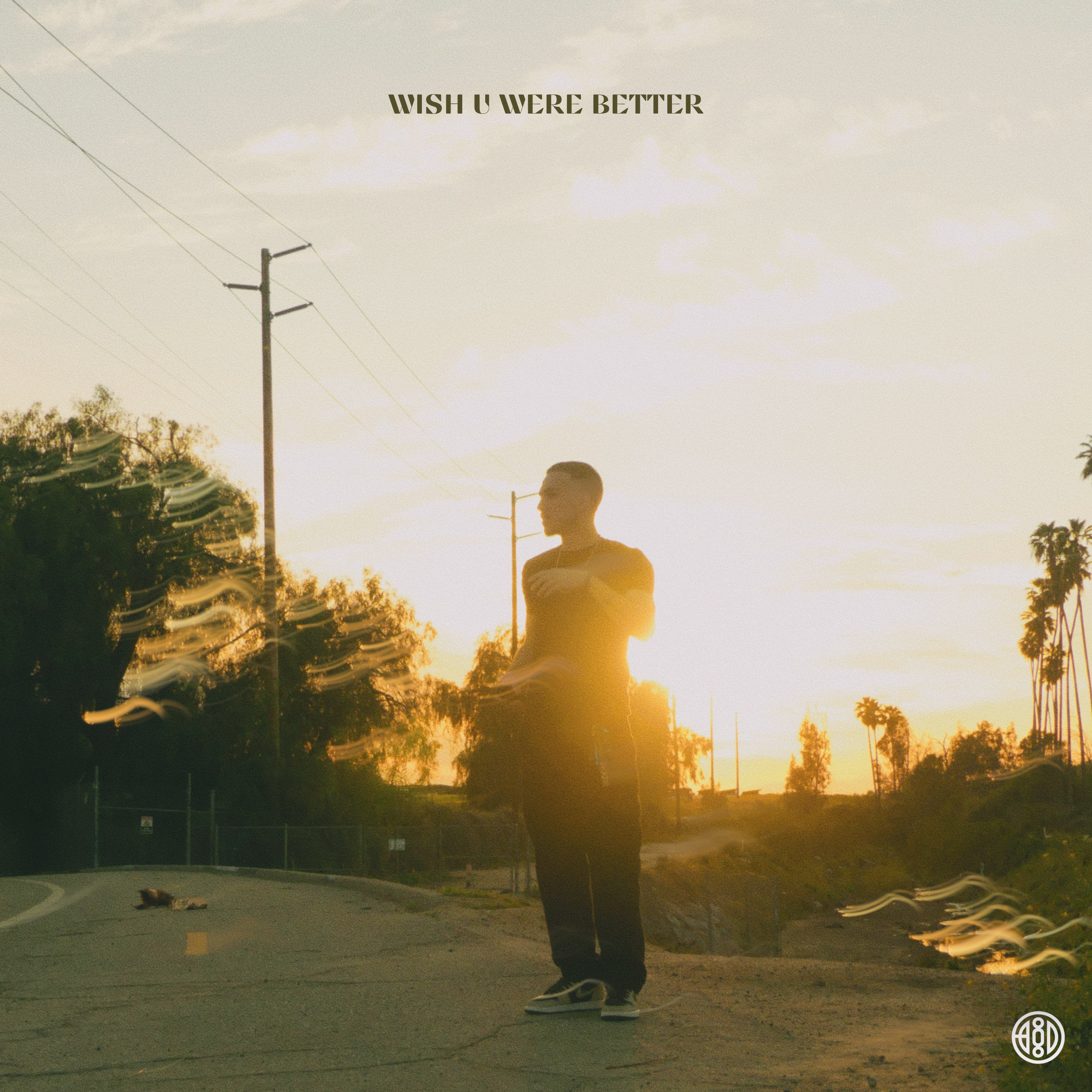 Wish U Were Better artwork