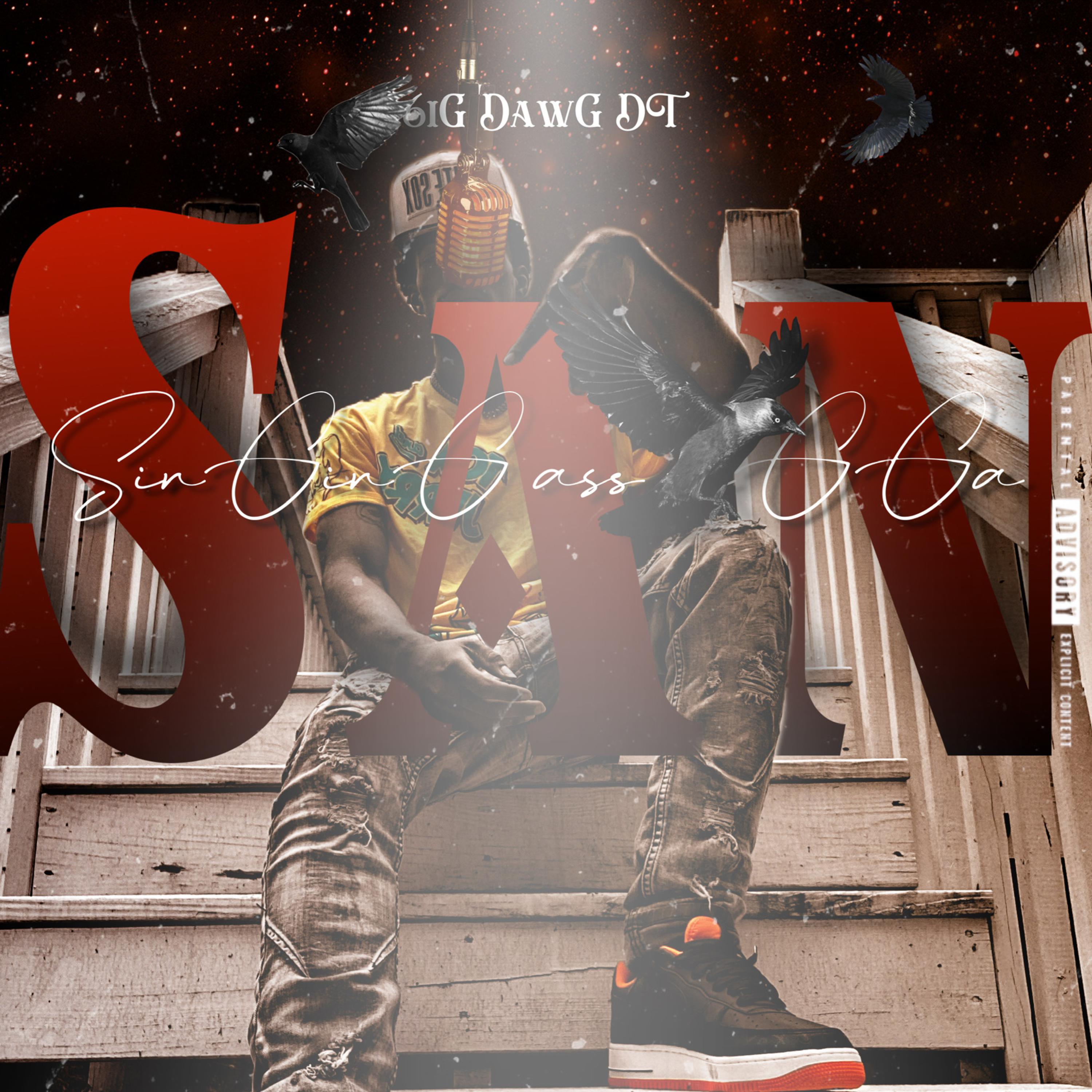 S.A.N (SinGinG Ass NiGGa) by 6iG DawG DT cover art