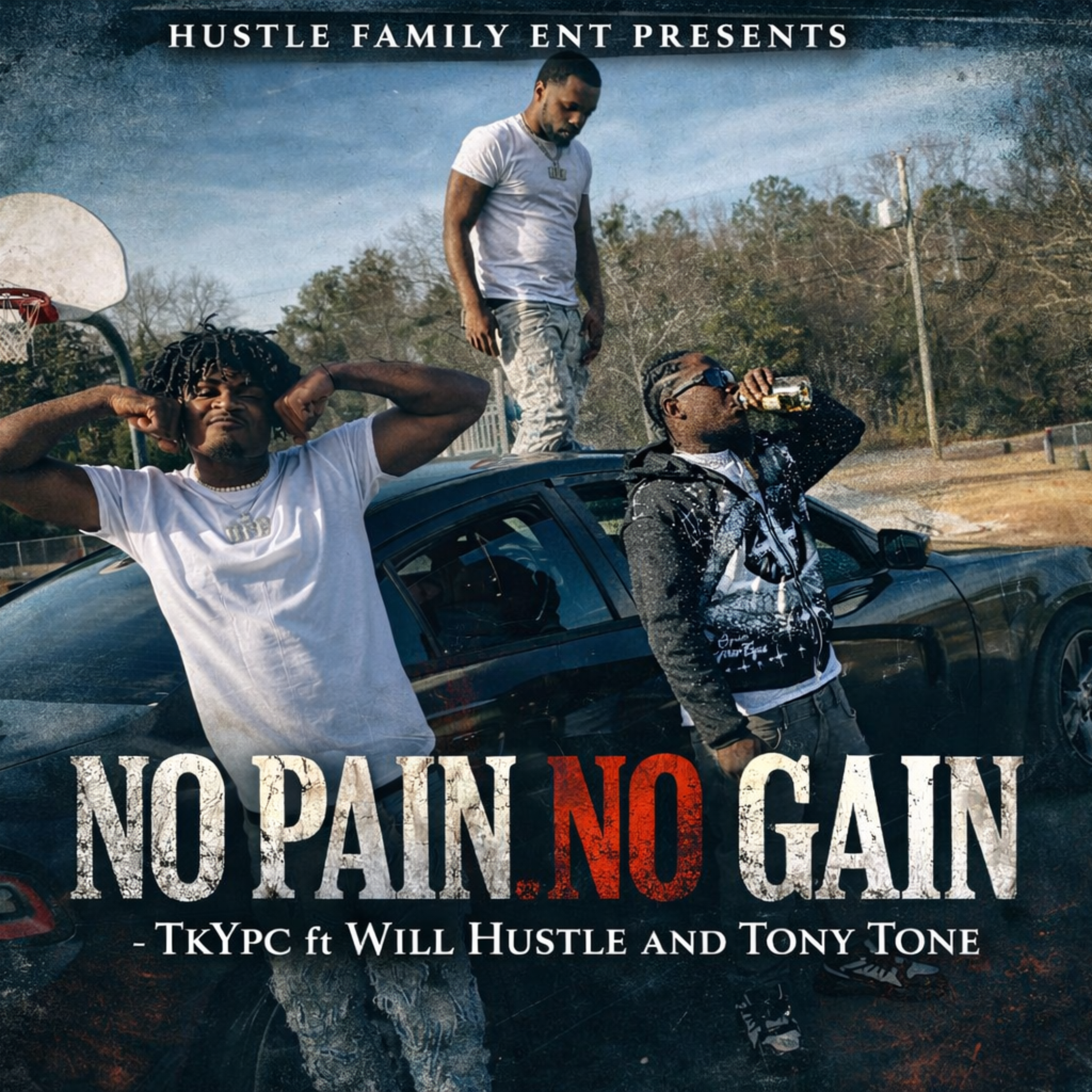 No Pain No Gain artwork
