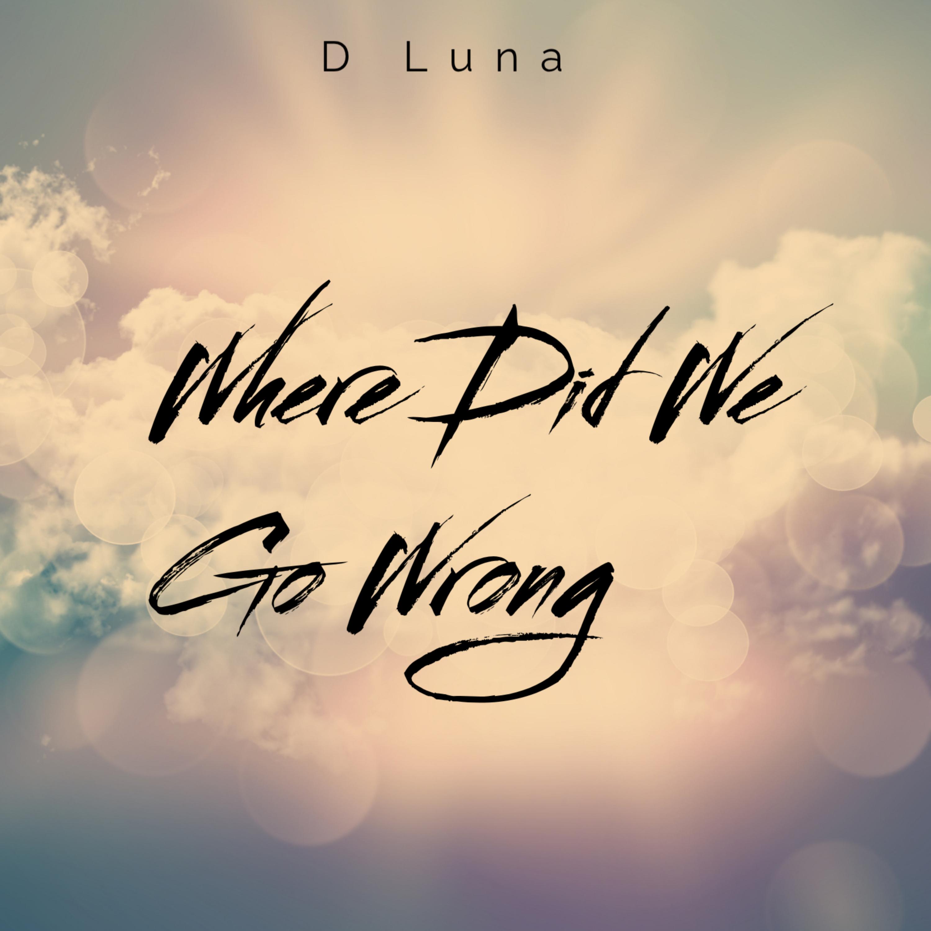 Where Did We Go Wrong artwork