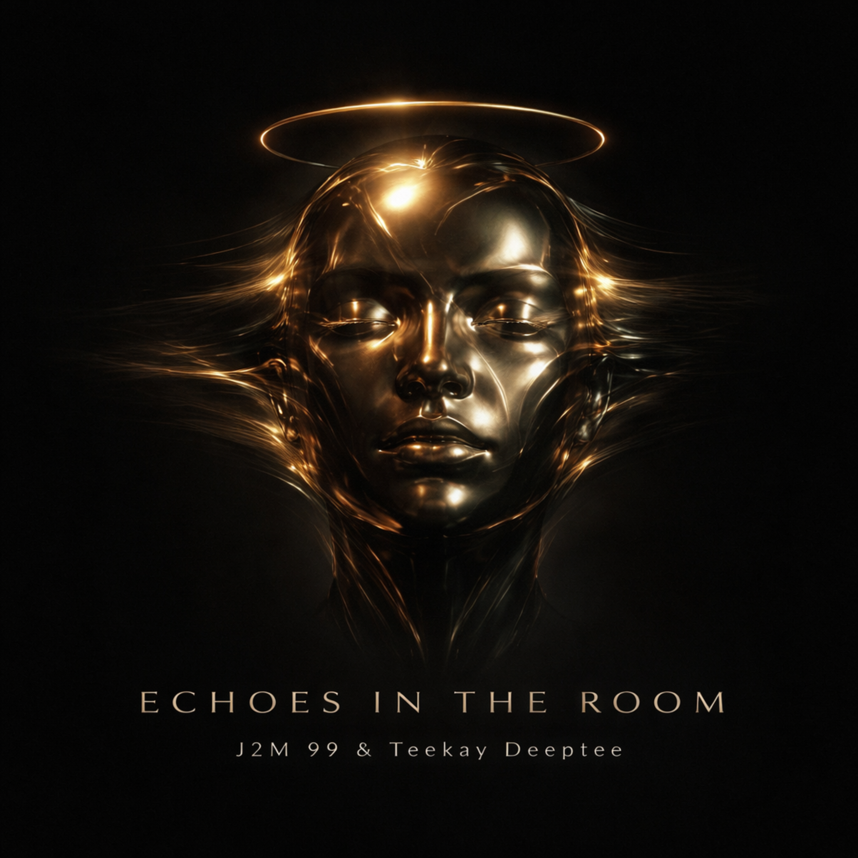 Echoes In The Room artwork