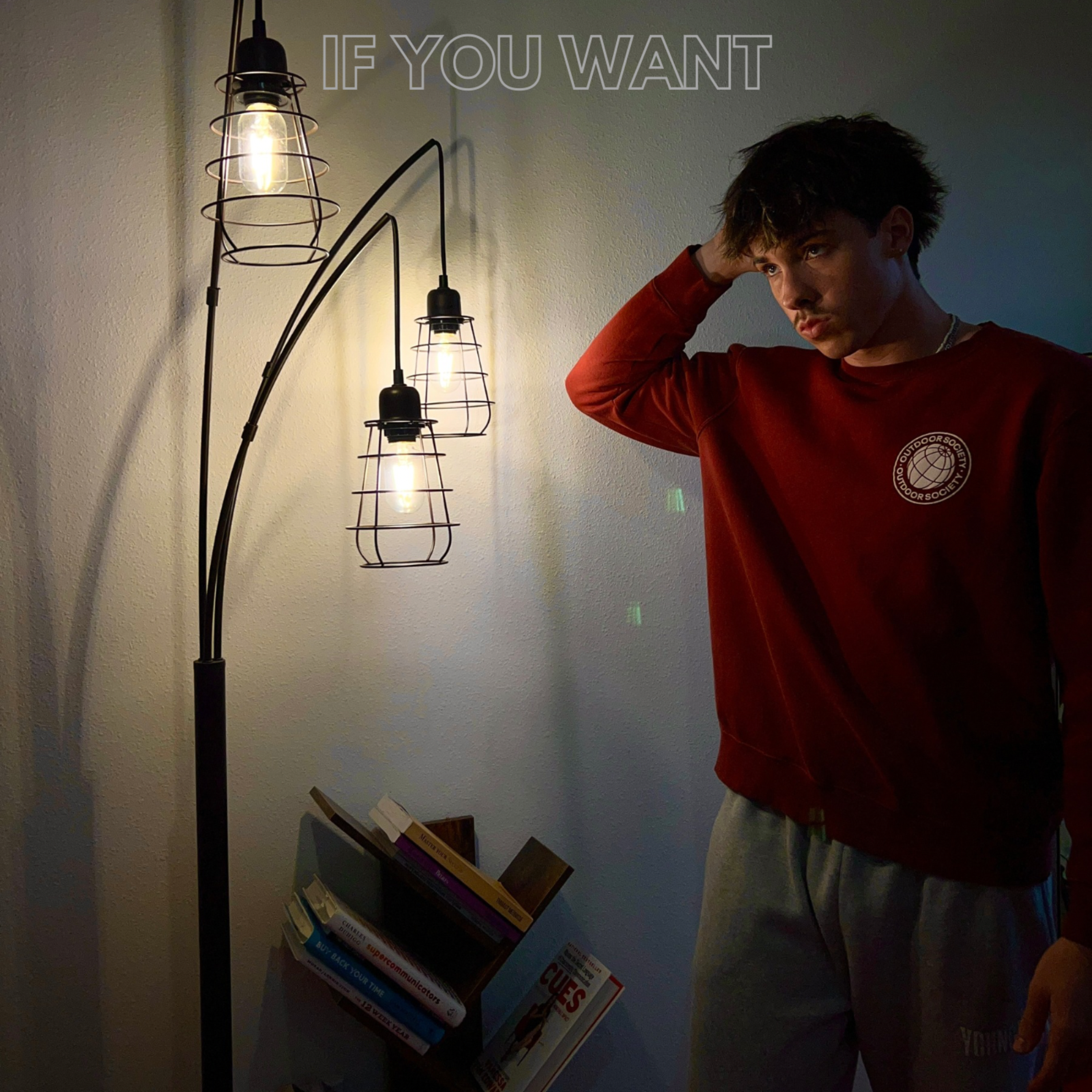 If You Want by ro cover art