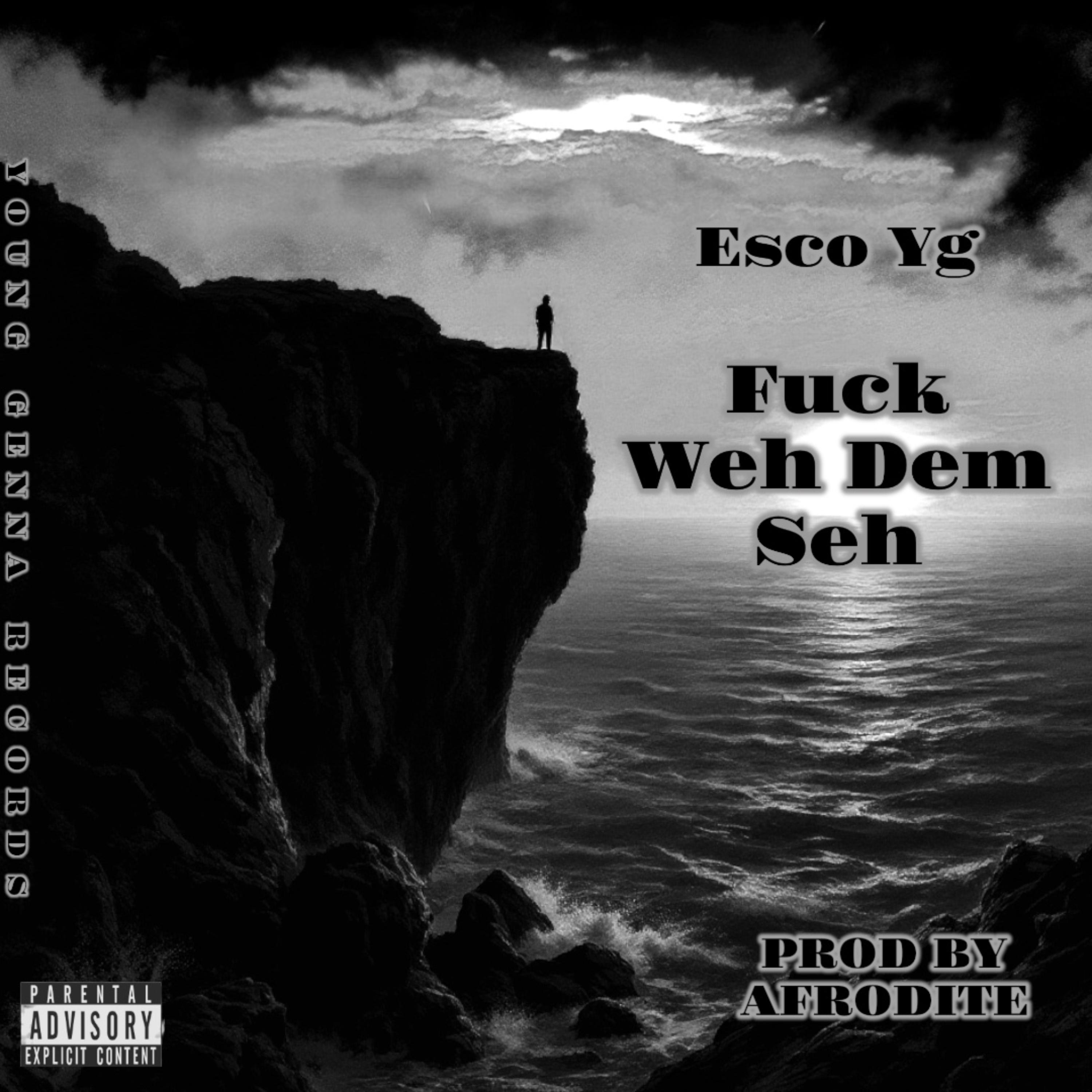 Fuck Weh Dem Seh artwork