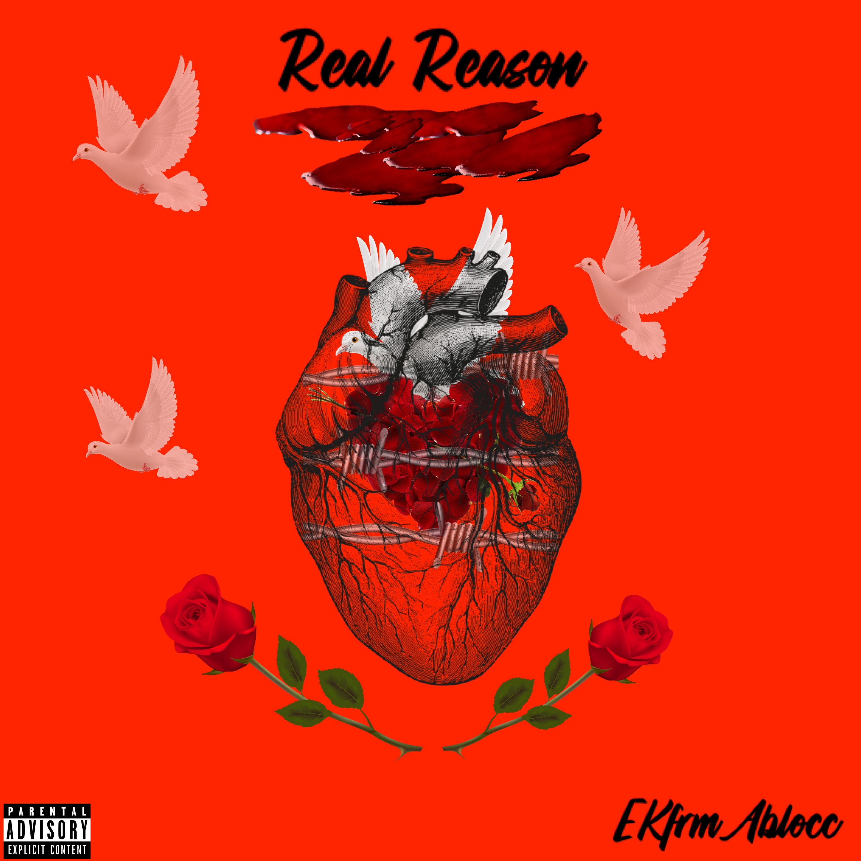 Real Reason artwork