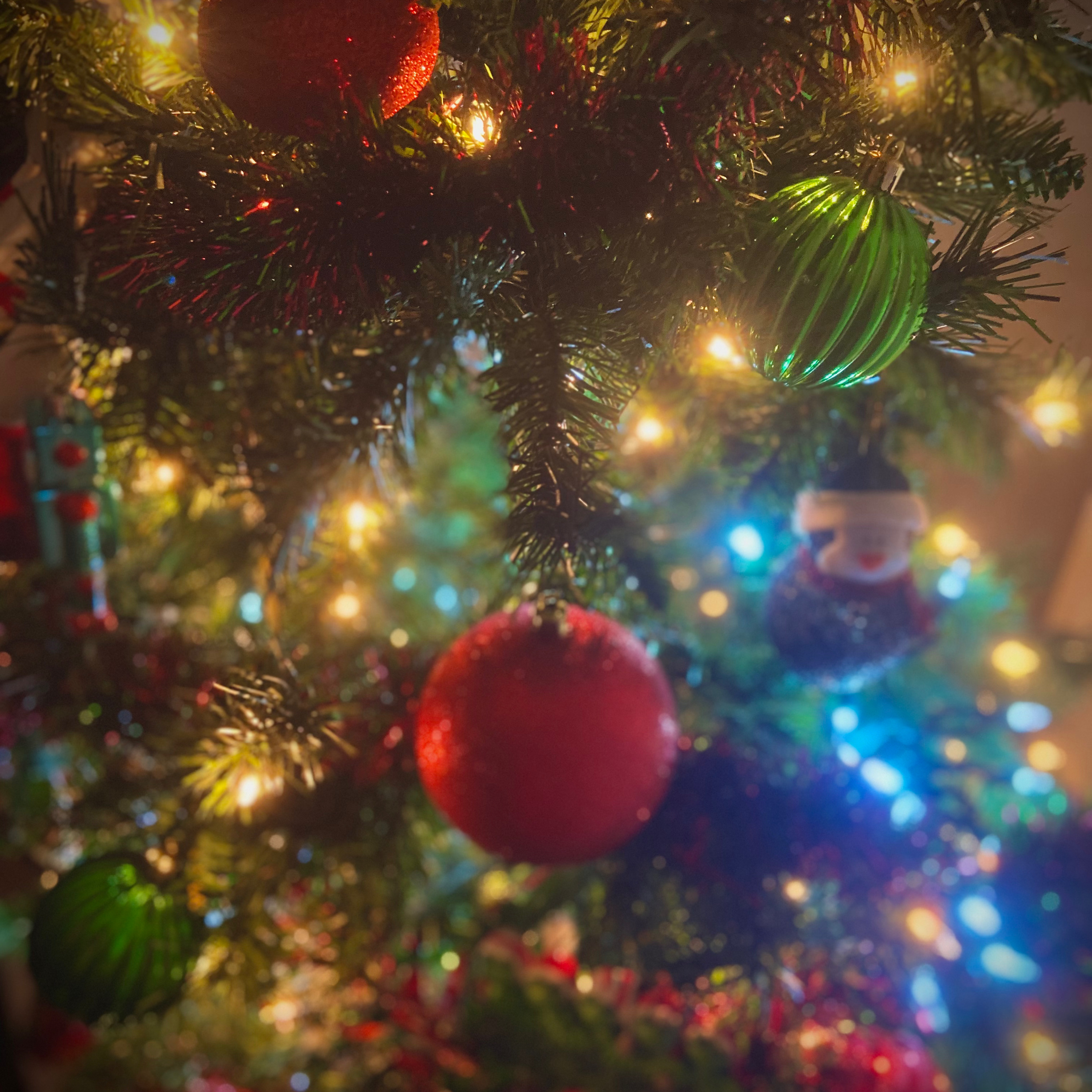 Mistletoe artwork