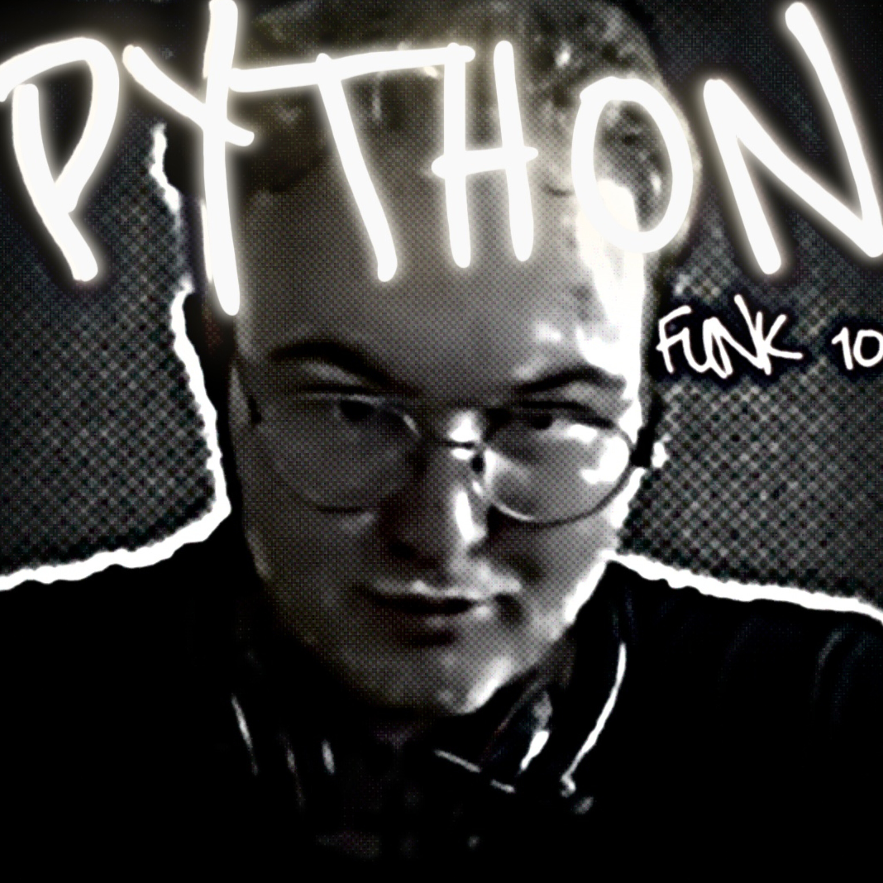 PYTHON FUNK 10 artwork