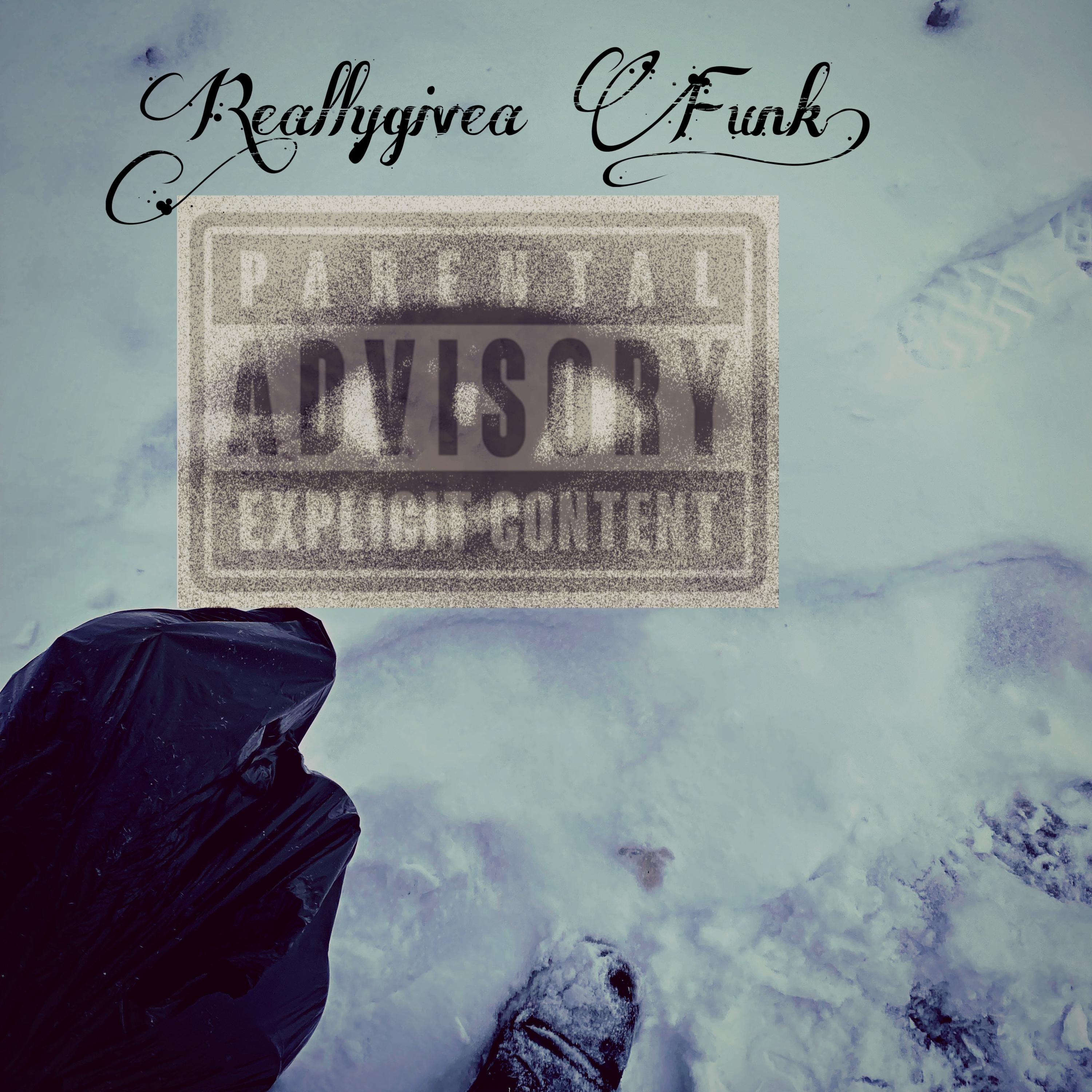 Reallygivea Funk! artwork