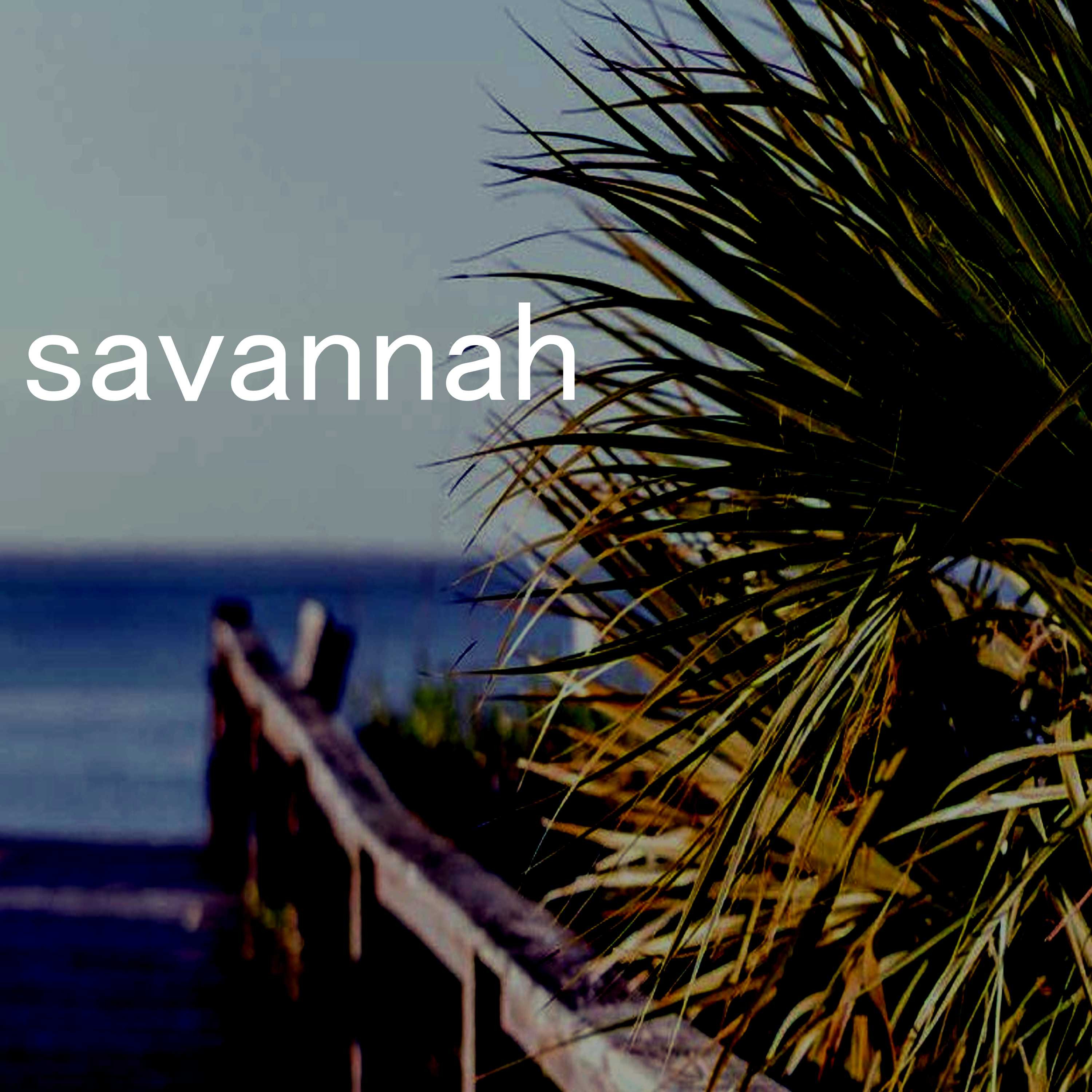 savannah artwork