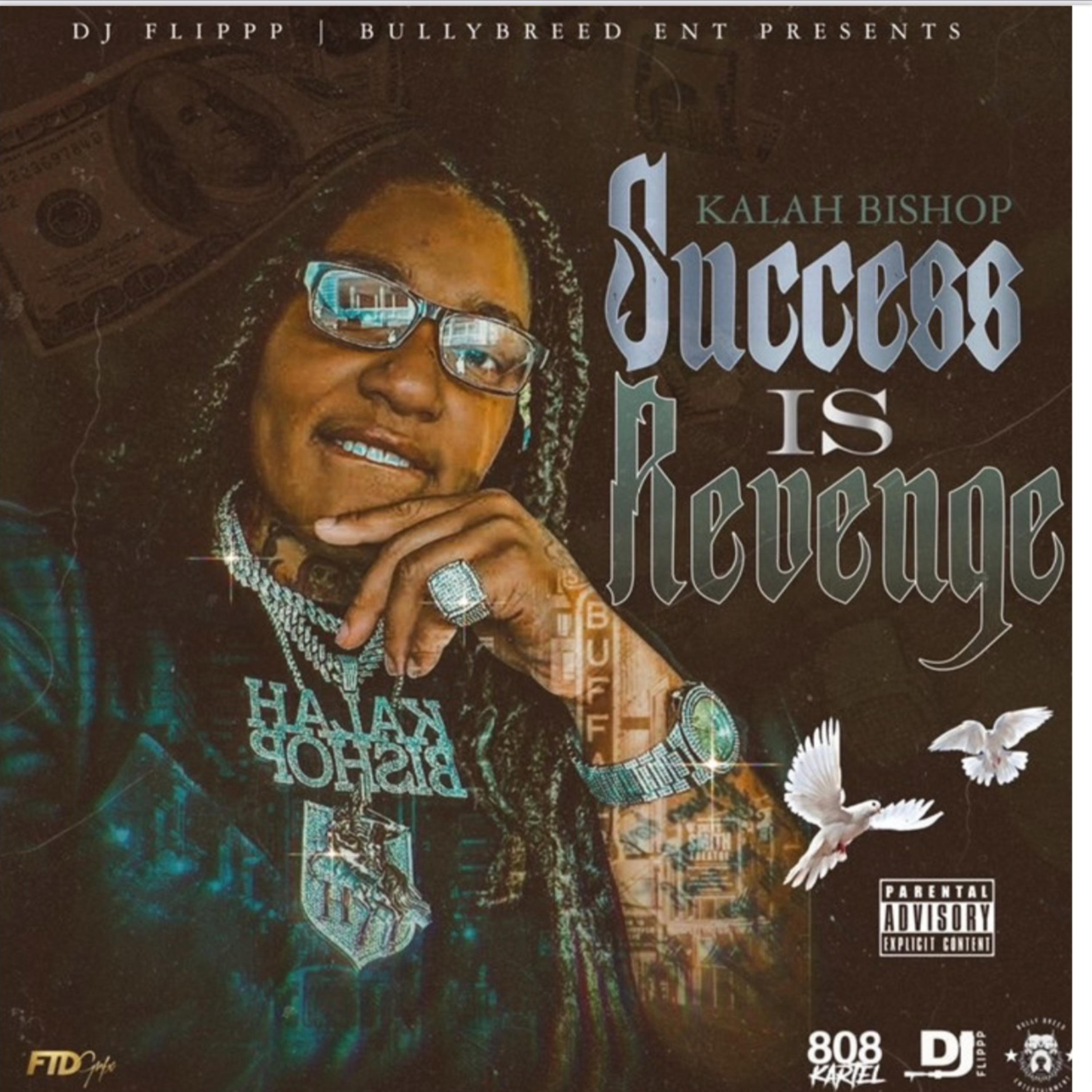 Success Is Revenge artwork