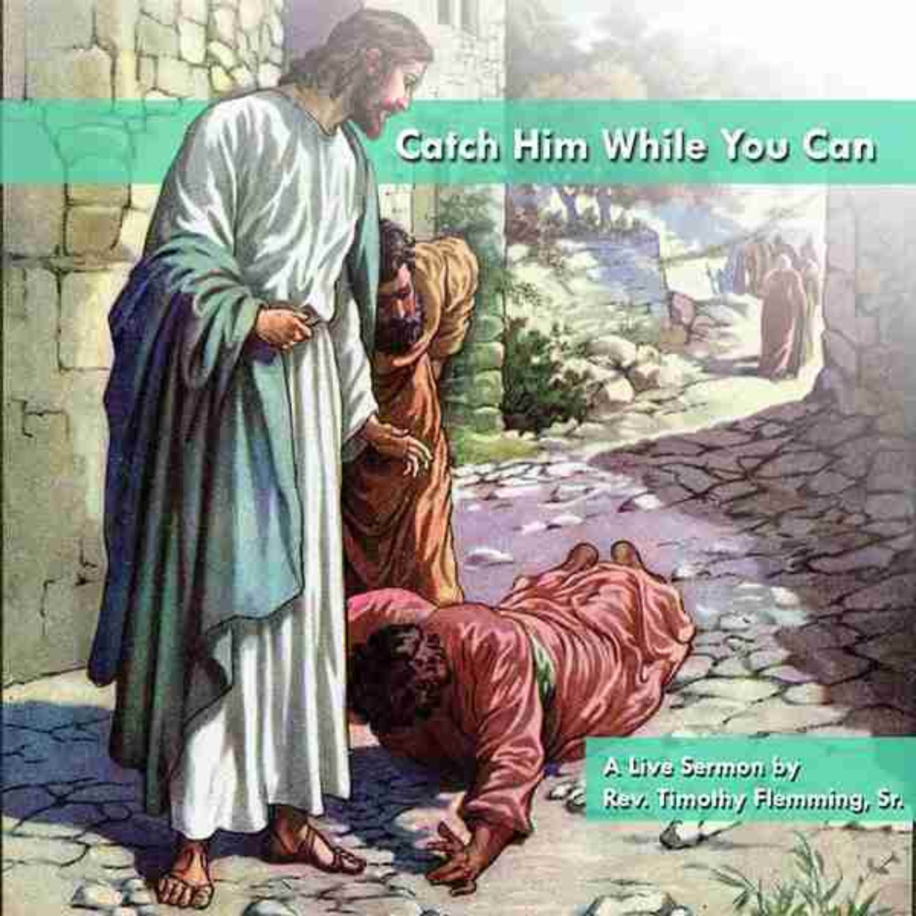 Catch Him While You Can artwork