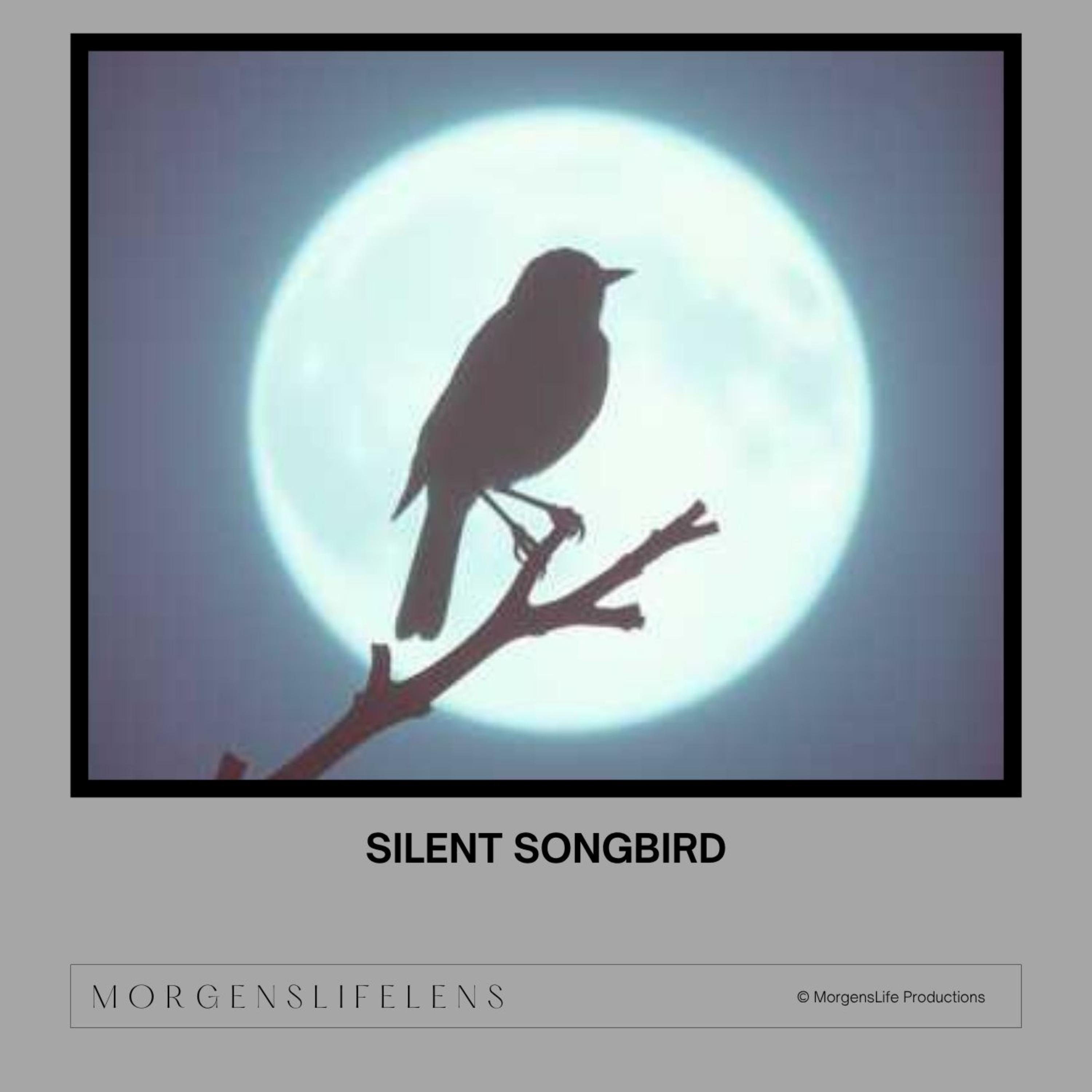 Silent Songbird artwork