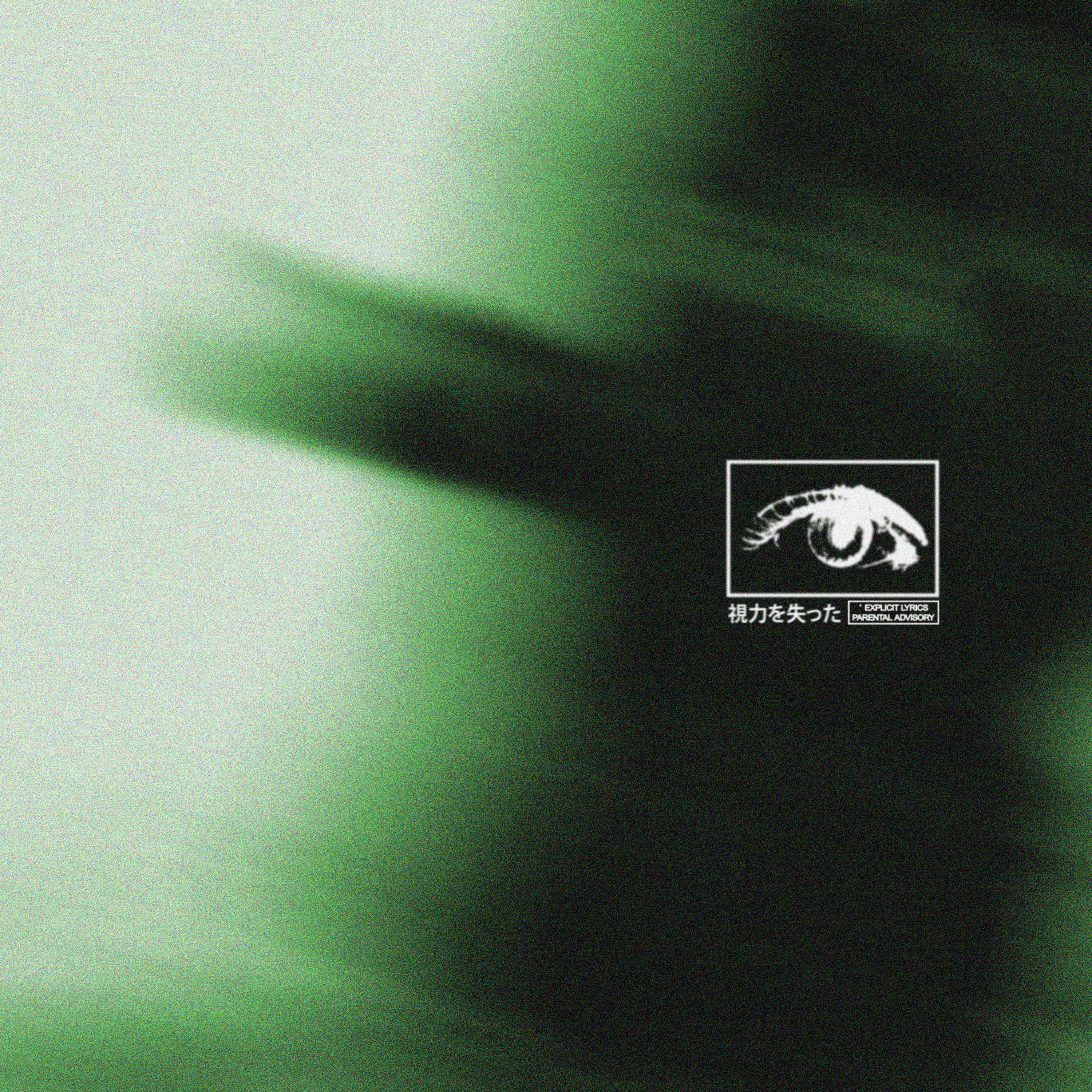 lostmyvision! artwork