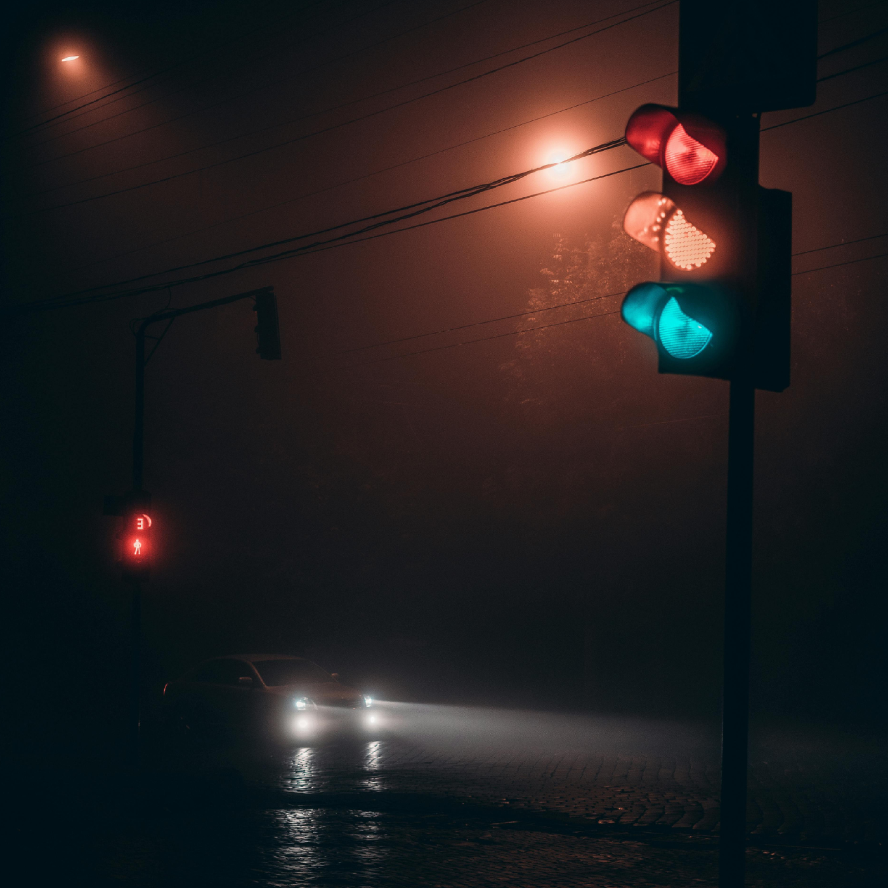 Night Life artwork