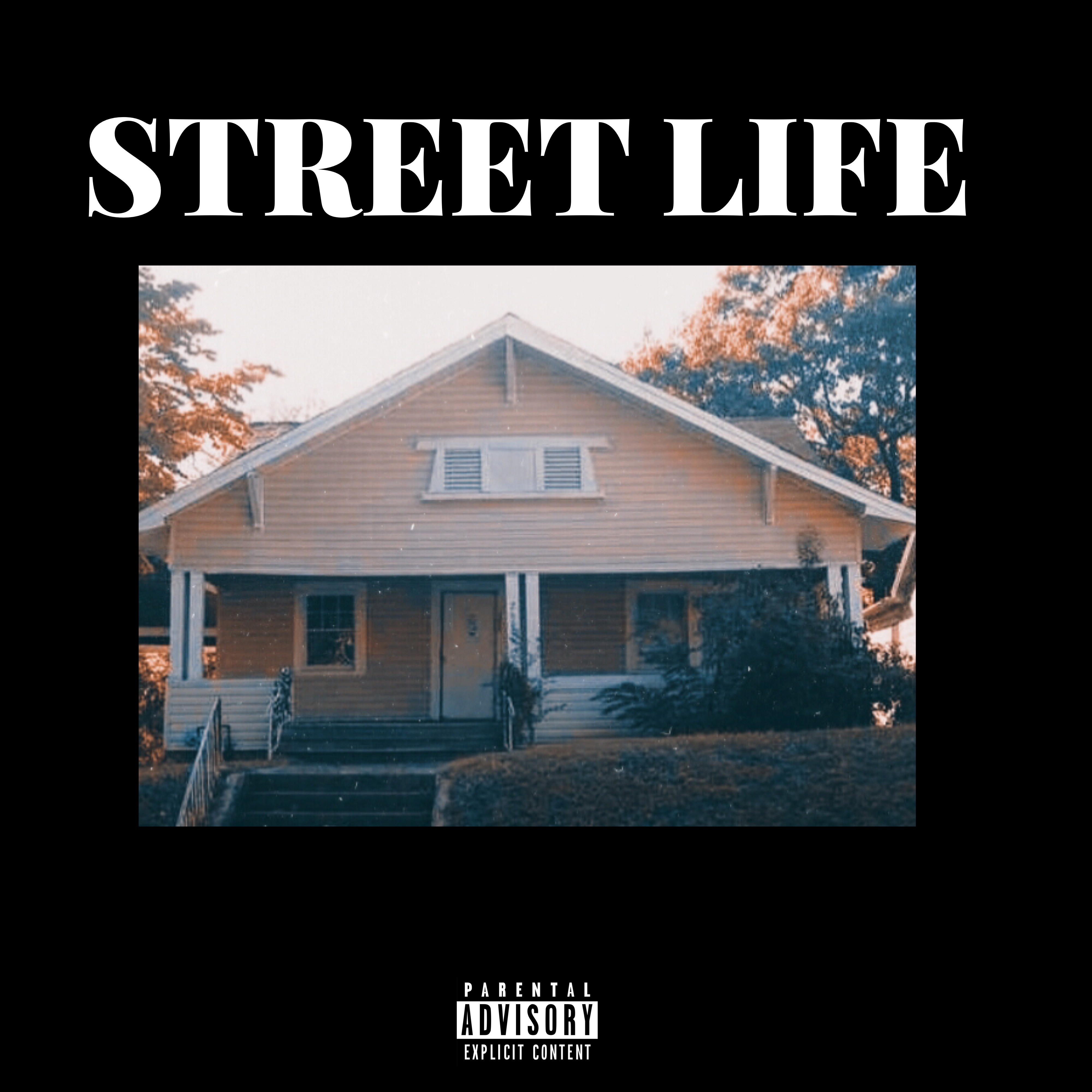 STREET LIFE artwork