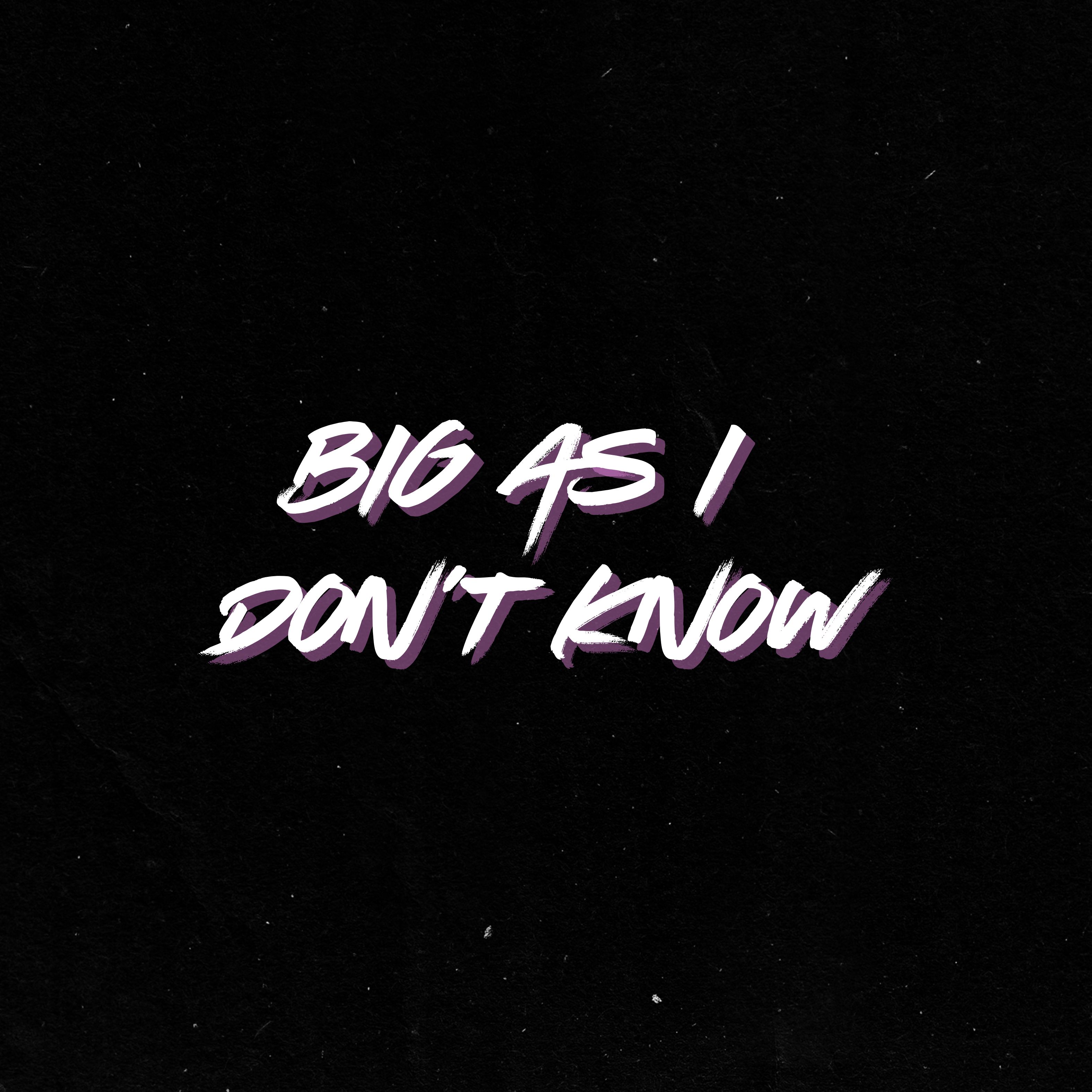 BIG AS I DON'T KNOW artwork