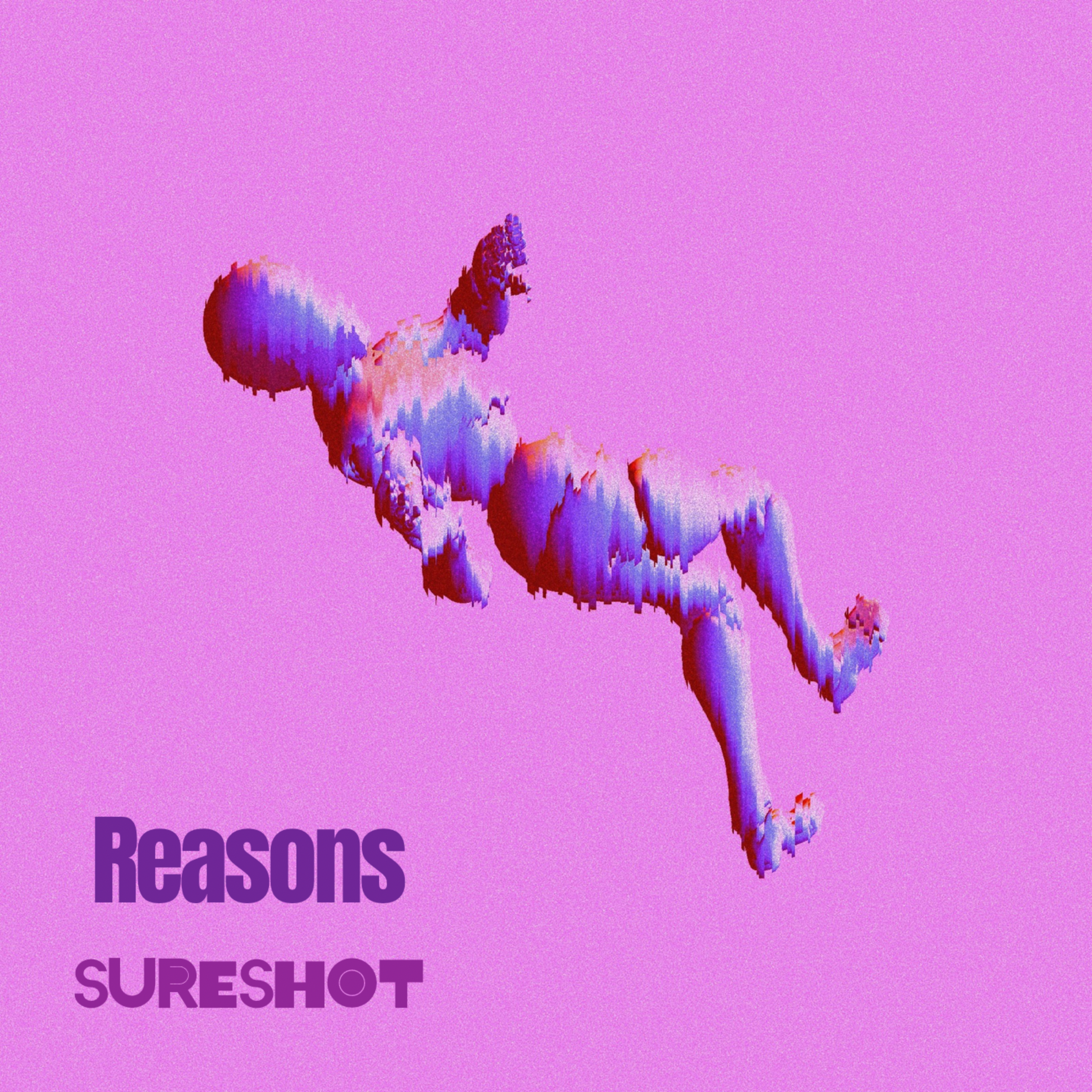 Reasons by Sureshot cover art