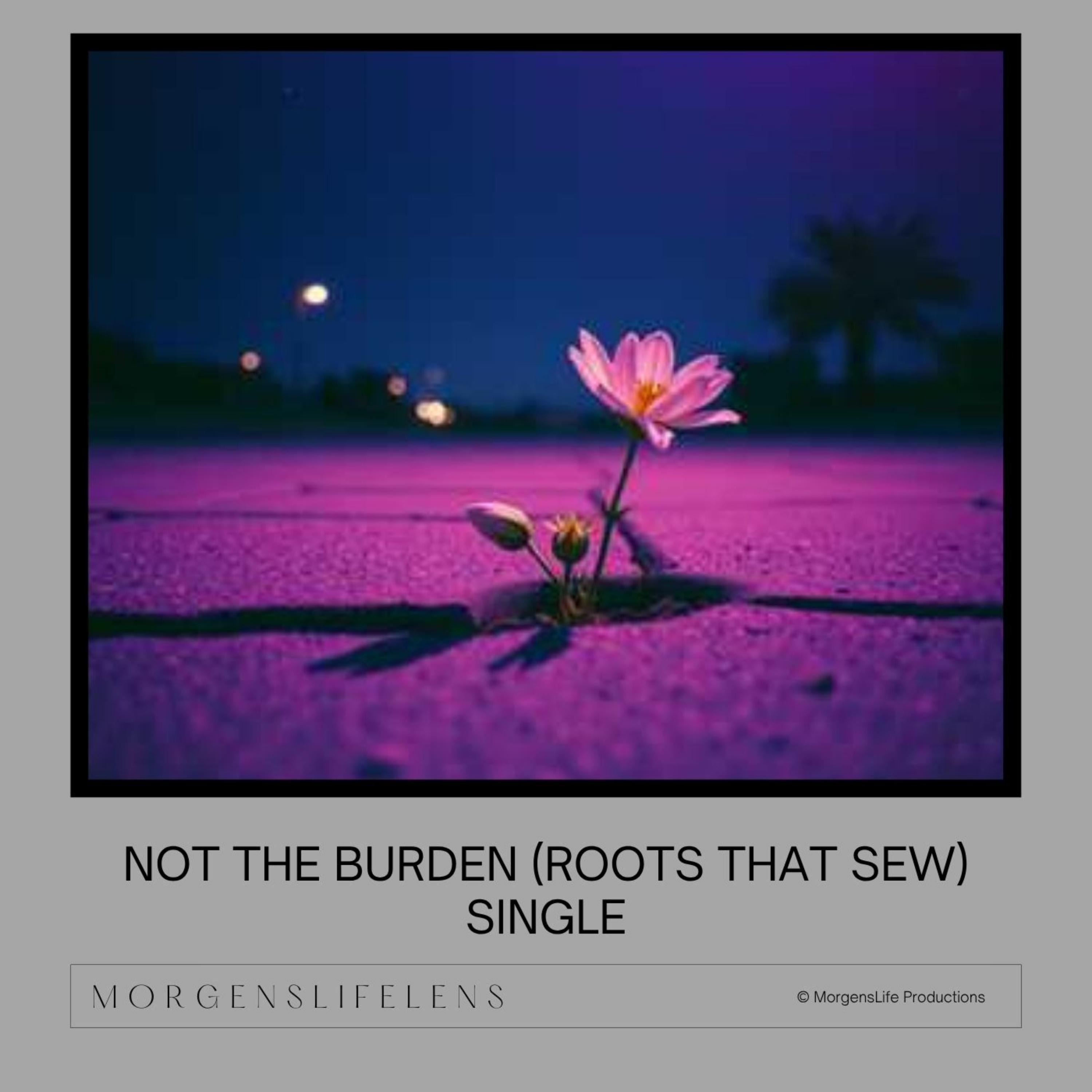 Not The Burden artwork