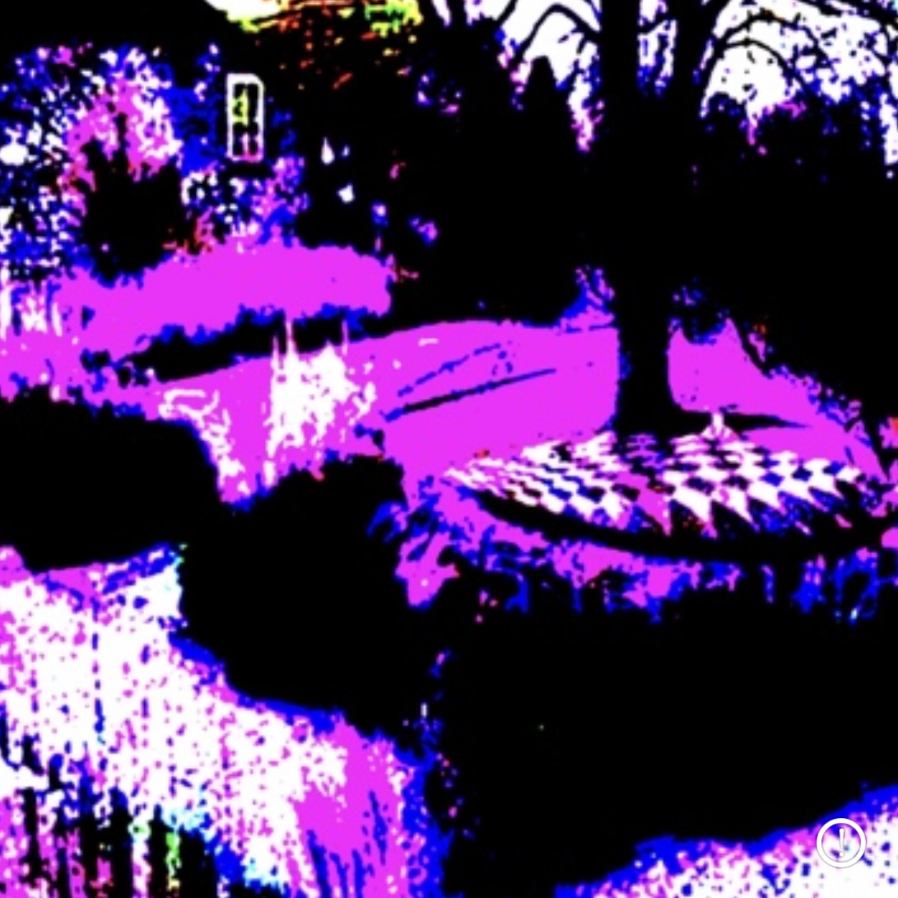 Cerebral Consciousness Is To Be Found (Deluxe) artwork