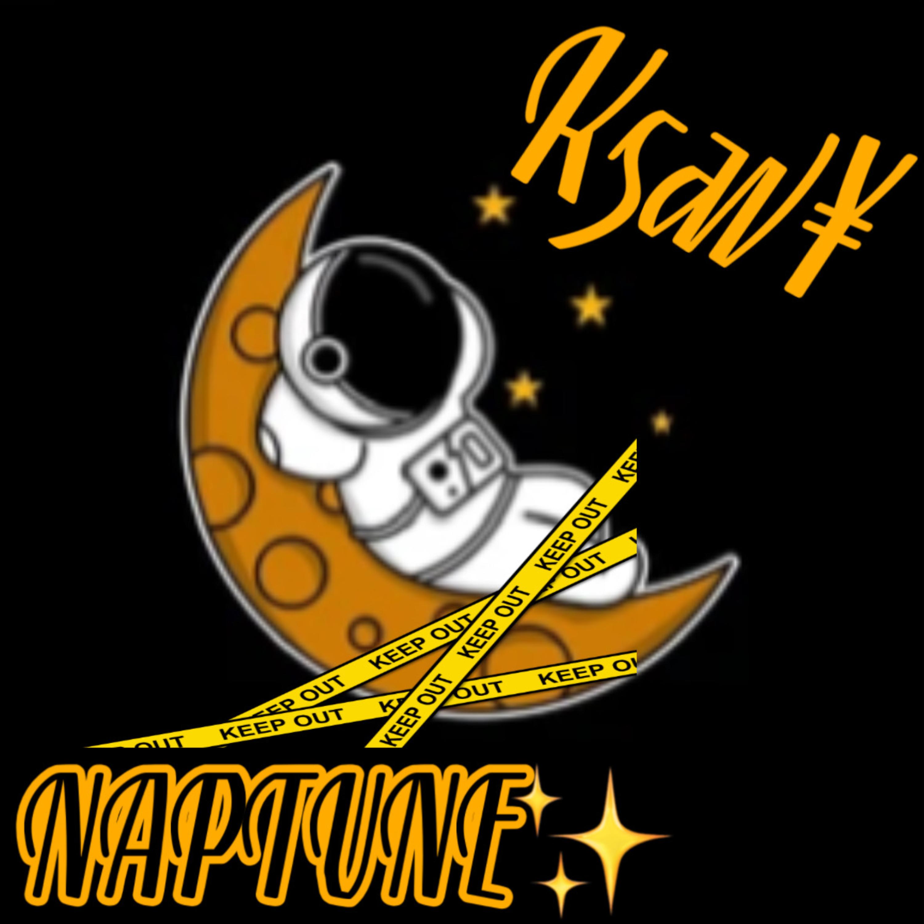 NAPTUNE artwork