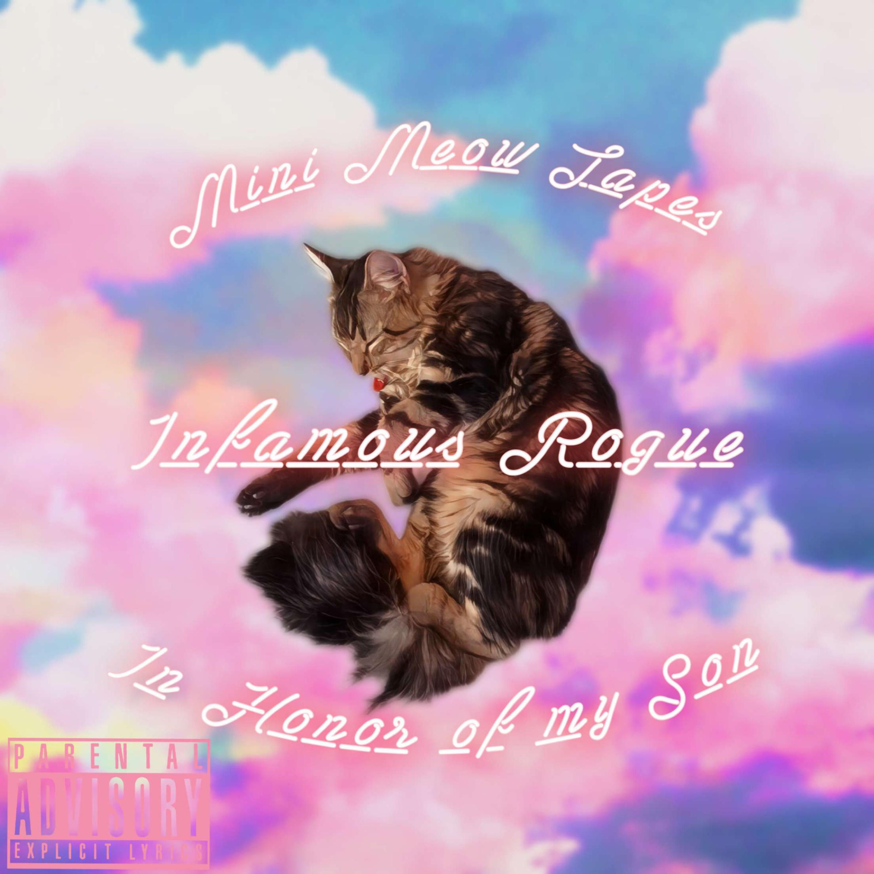 Mini Meow Tapes artwork