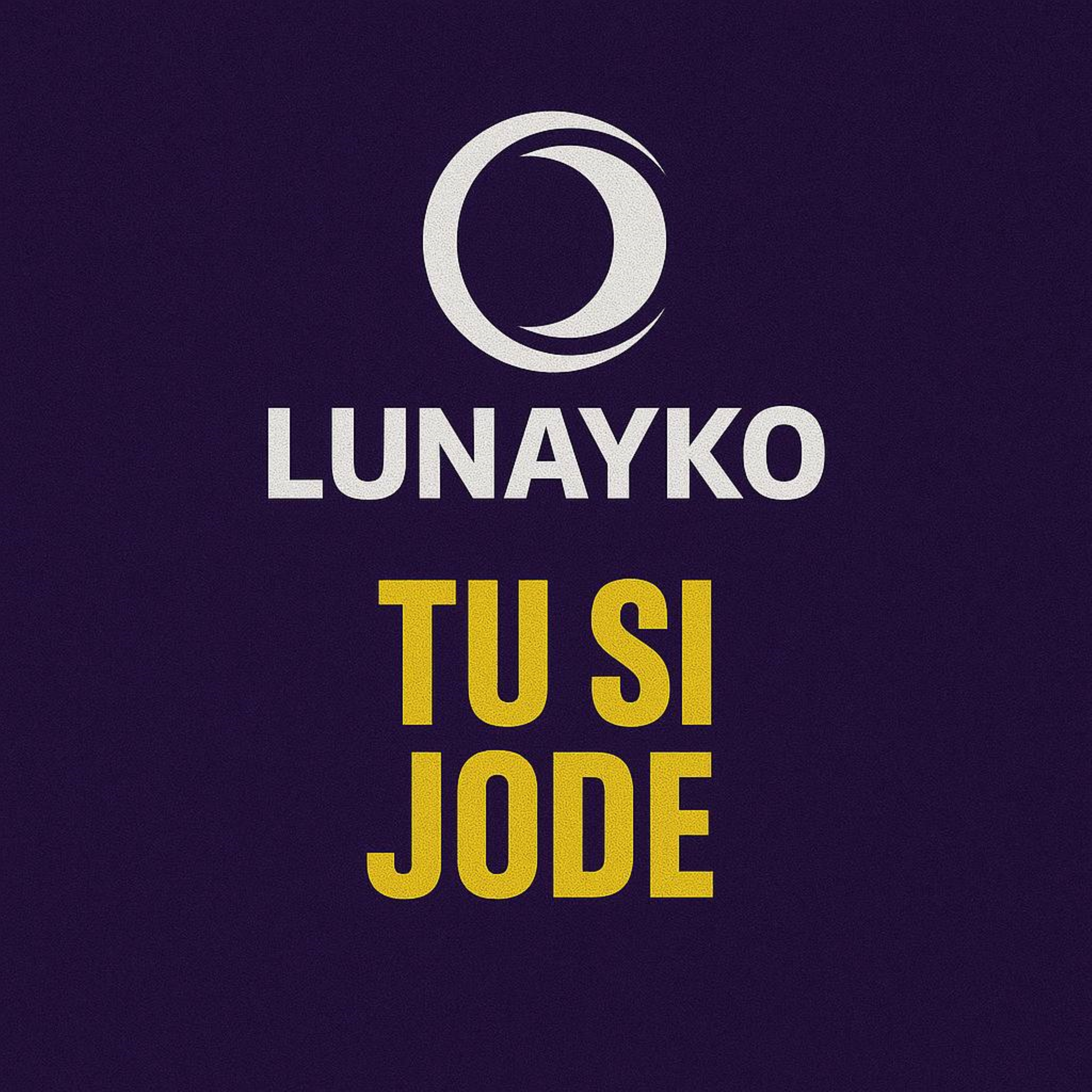 Tu Si Jode artwork