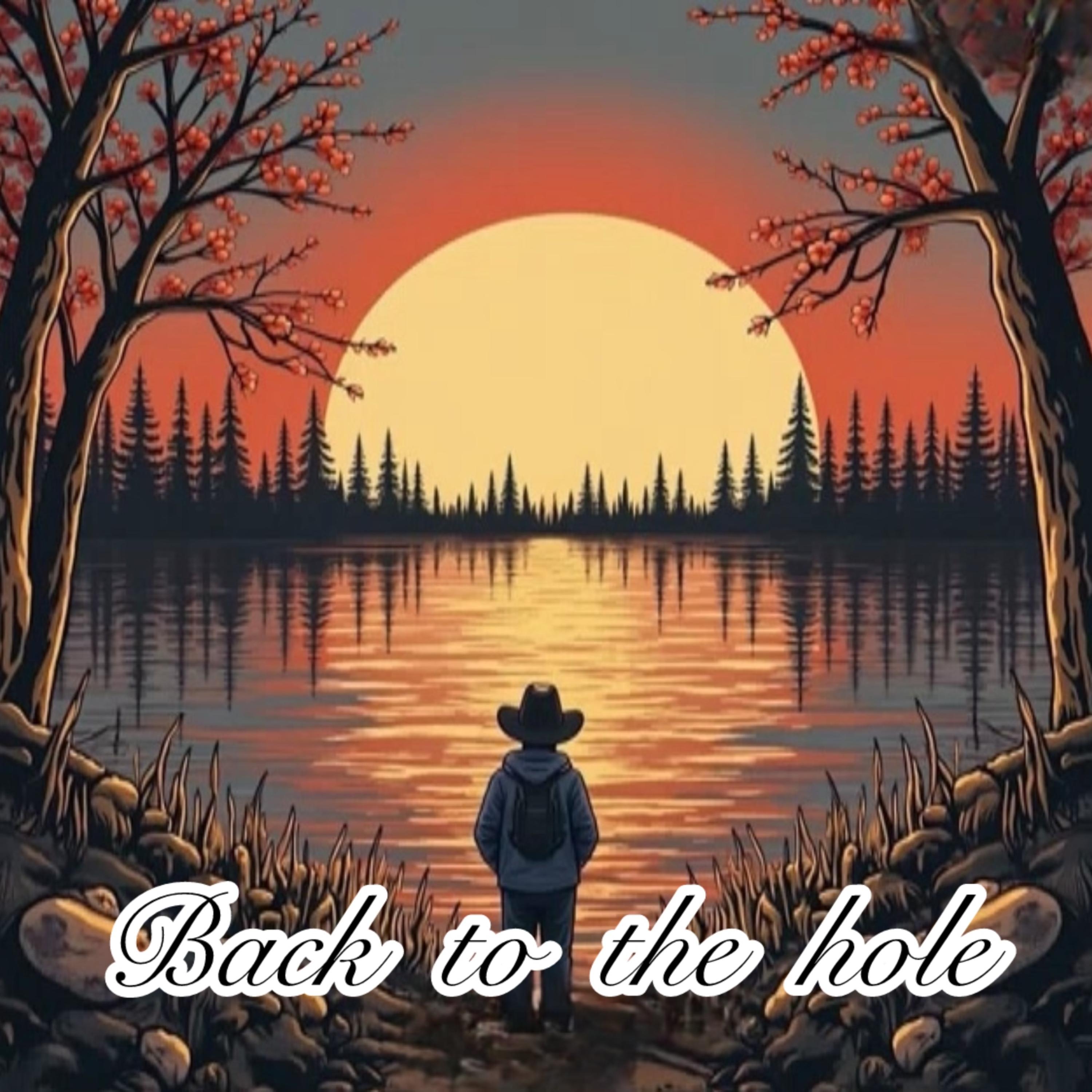 Back To The Hole artwork