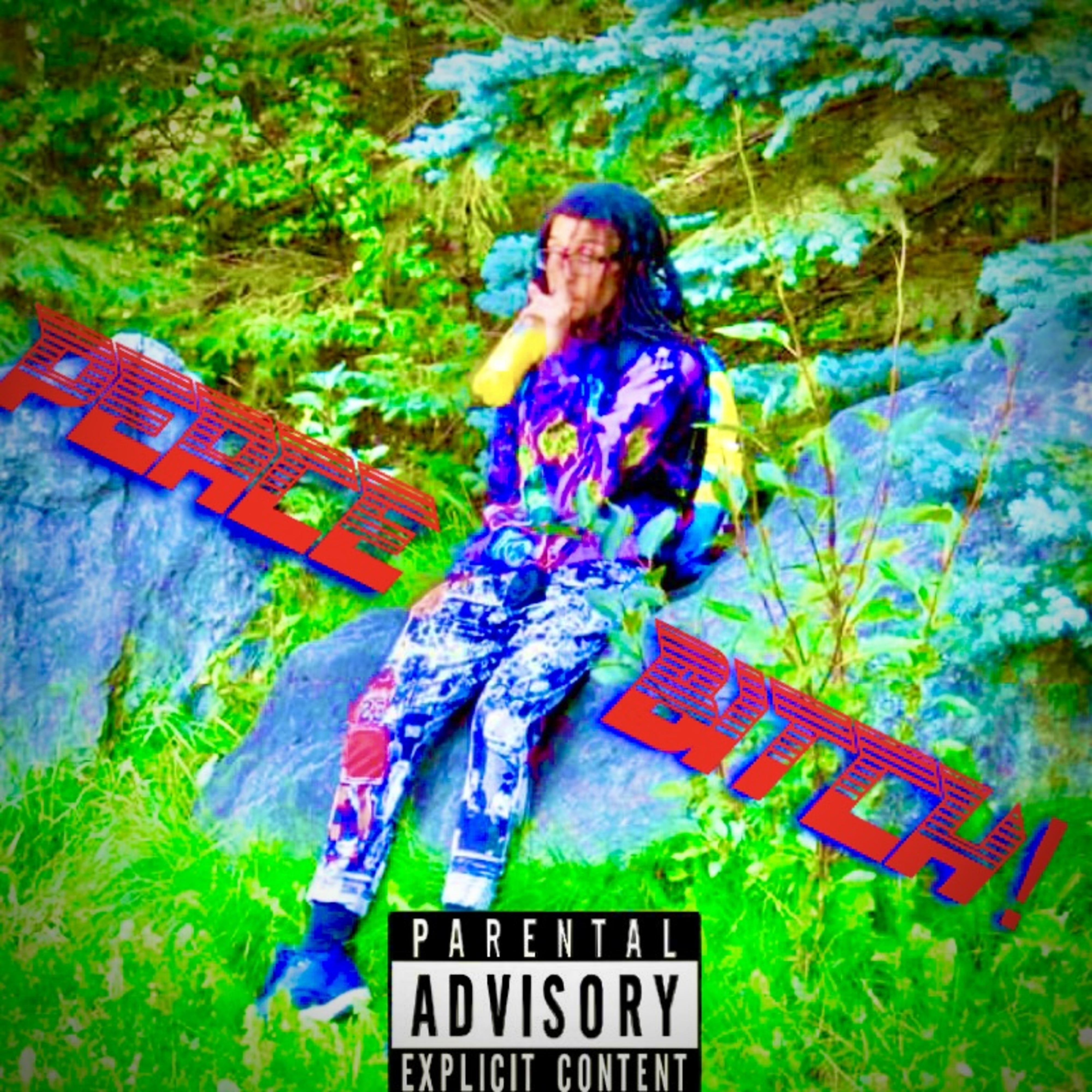 PEACE B!TCH! artwork