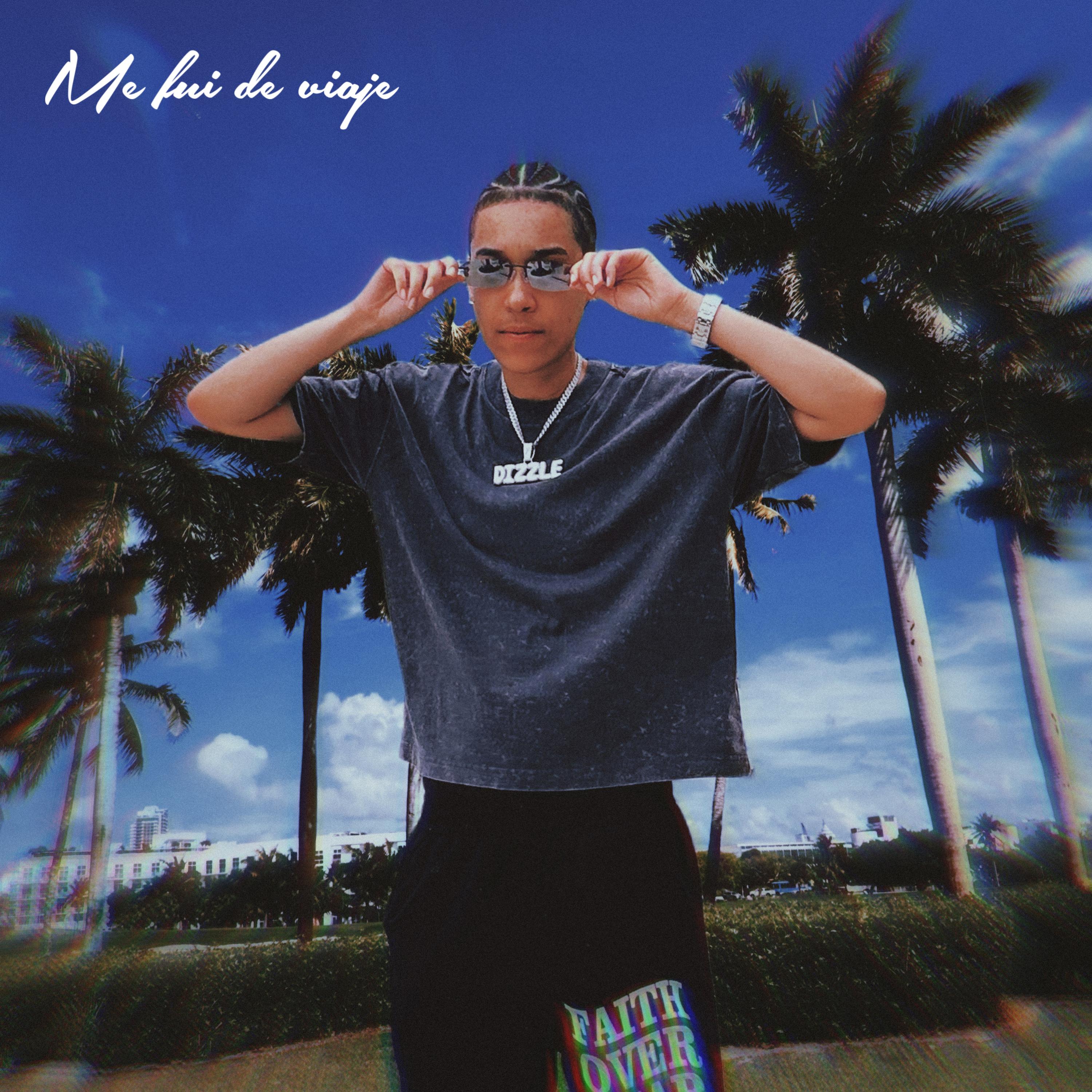 Me Fui De Viaje artwork