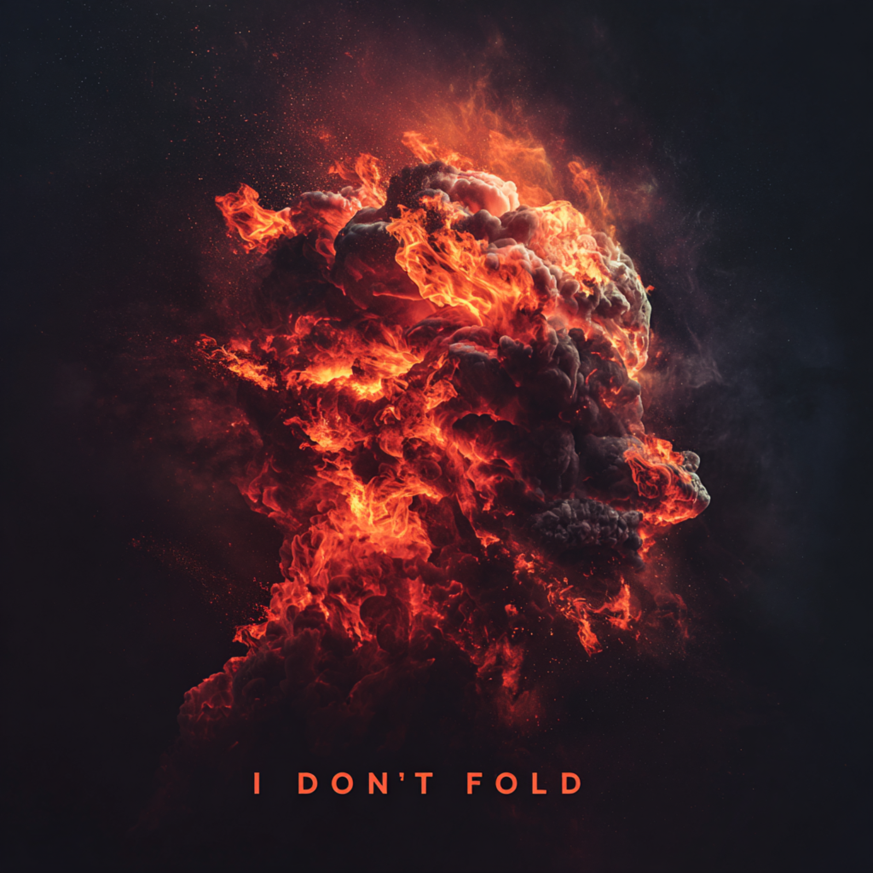 I DONT FOLD artwork
