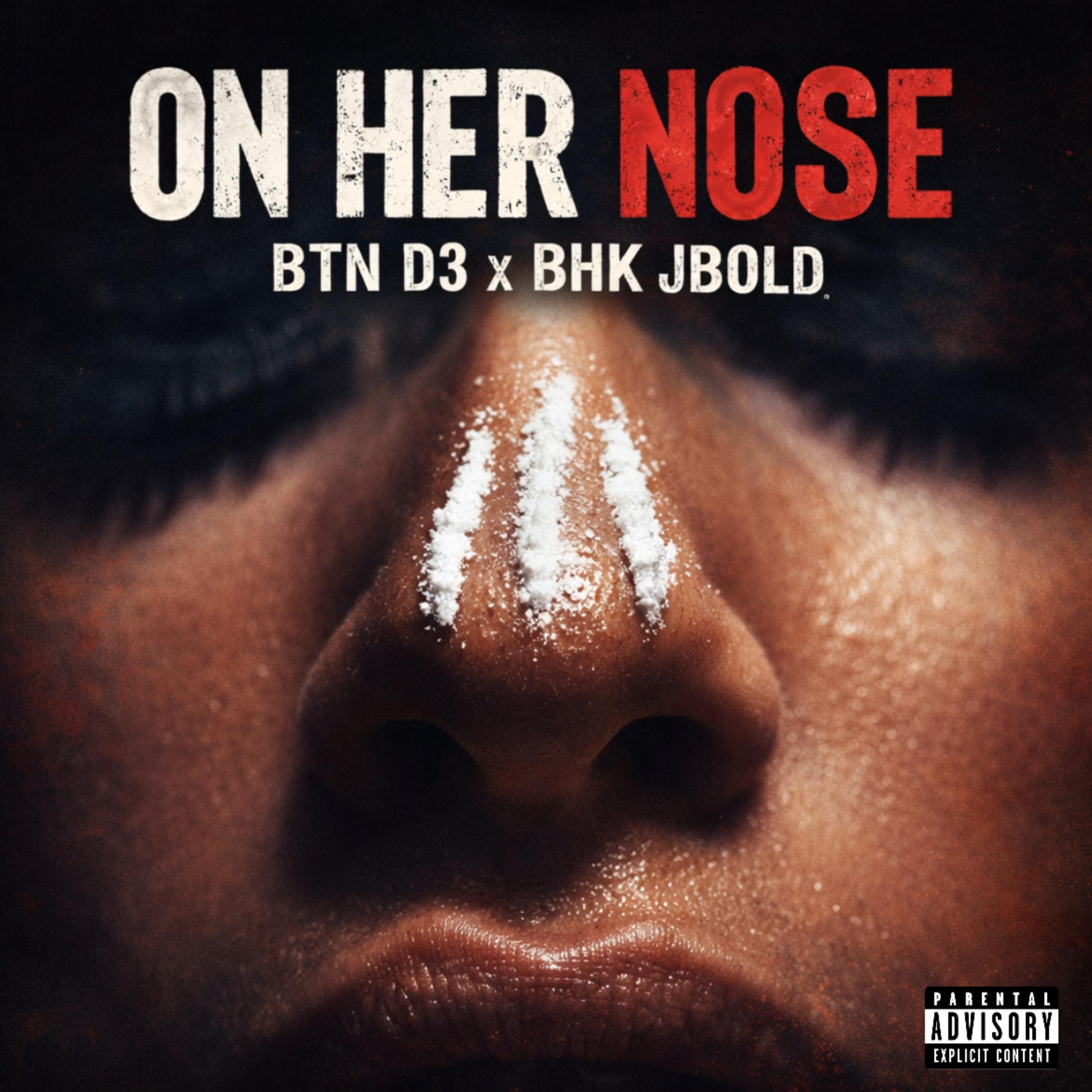 ON HER NOSE artwork