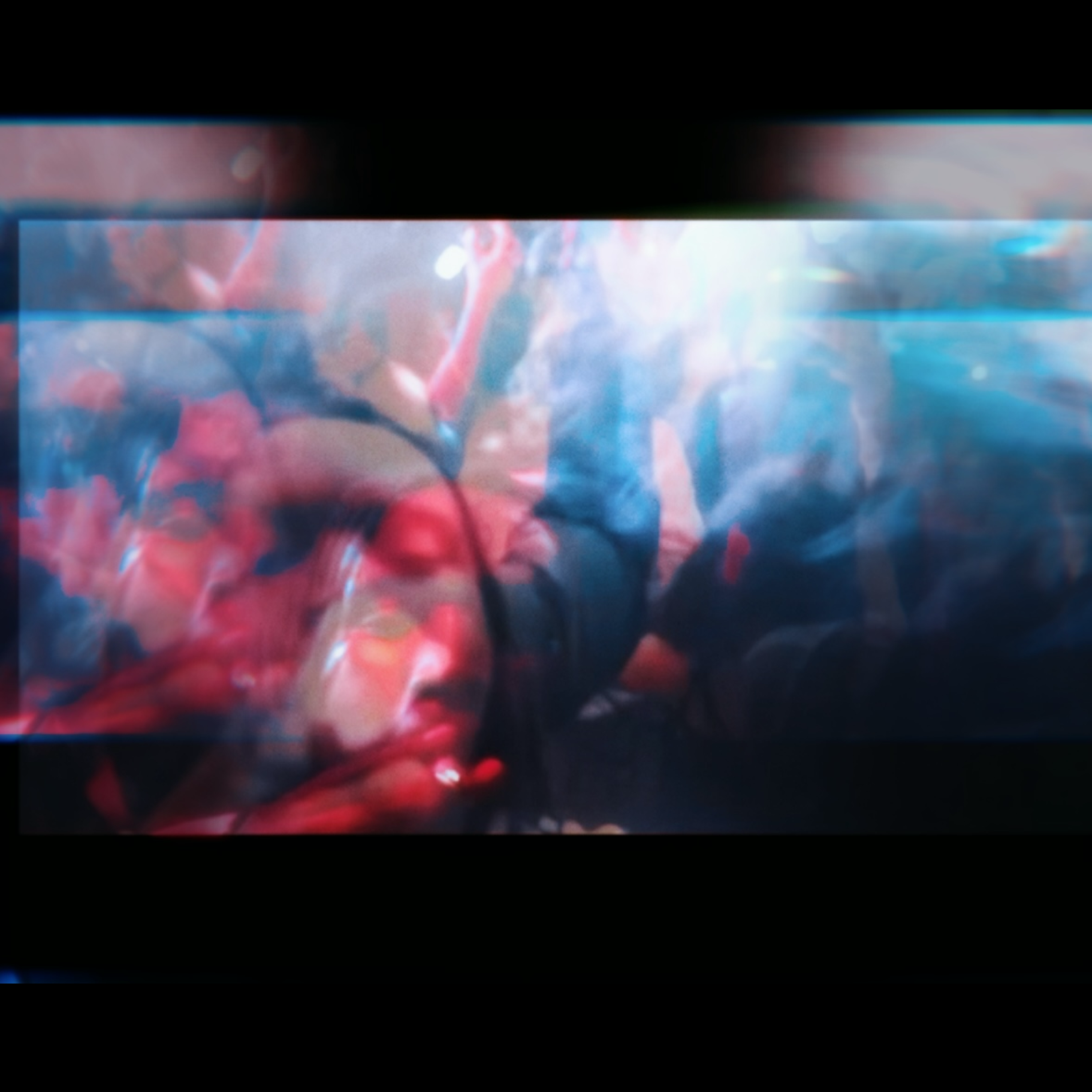 S4W artwork