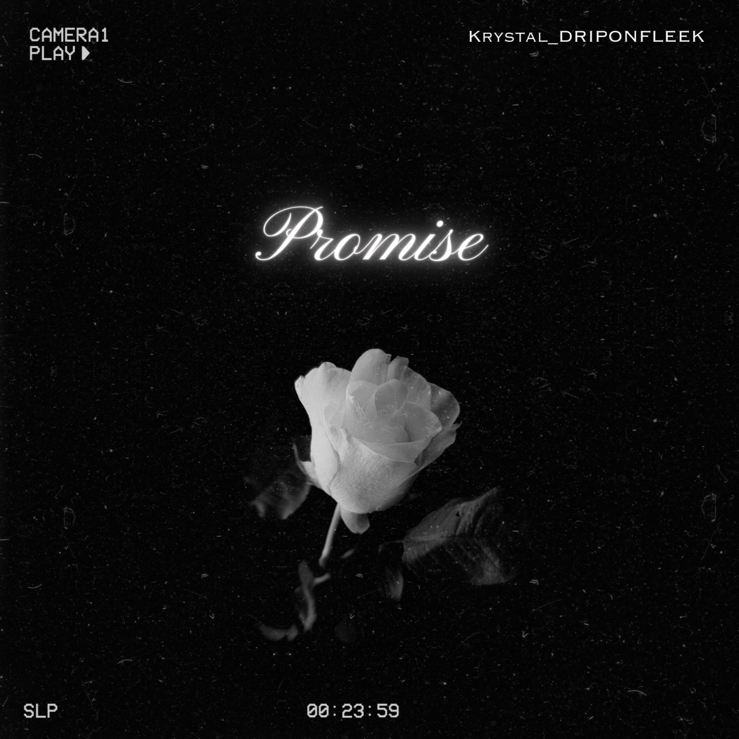 PROMISE by Krystal_DRIPONFLEEK cover art