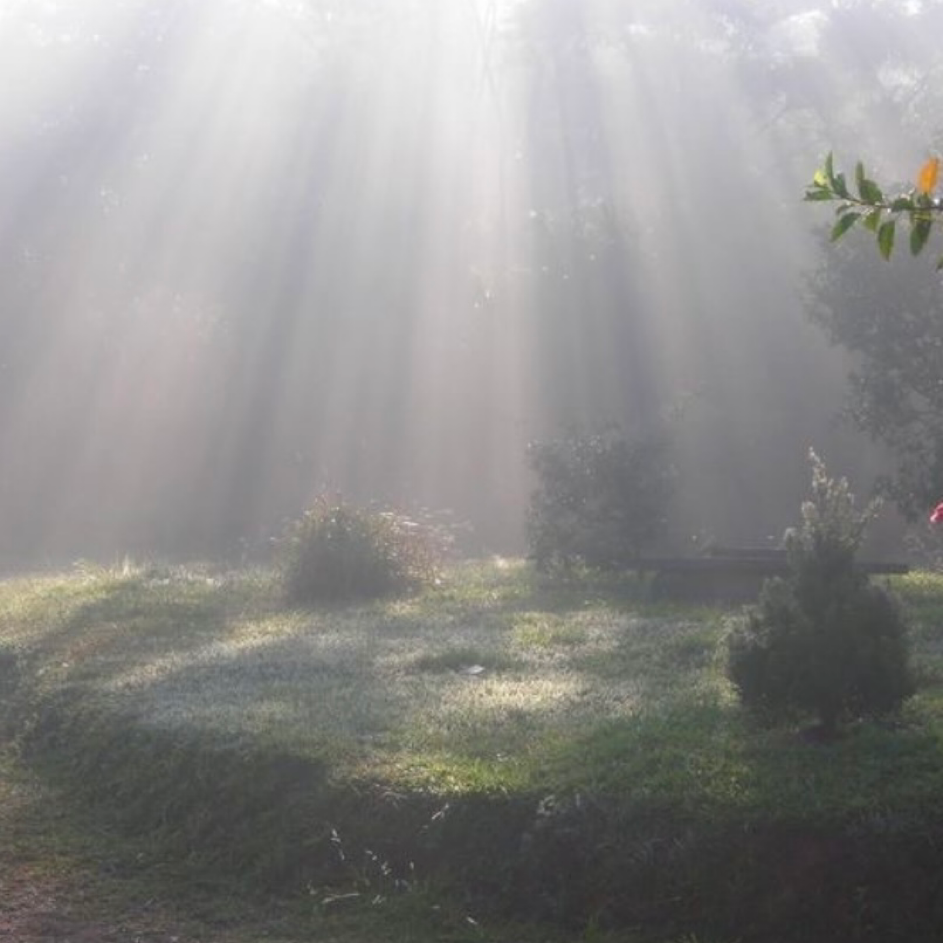 off the X i don't walk, I float. artwork