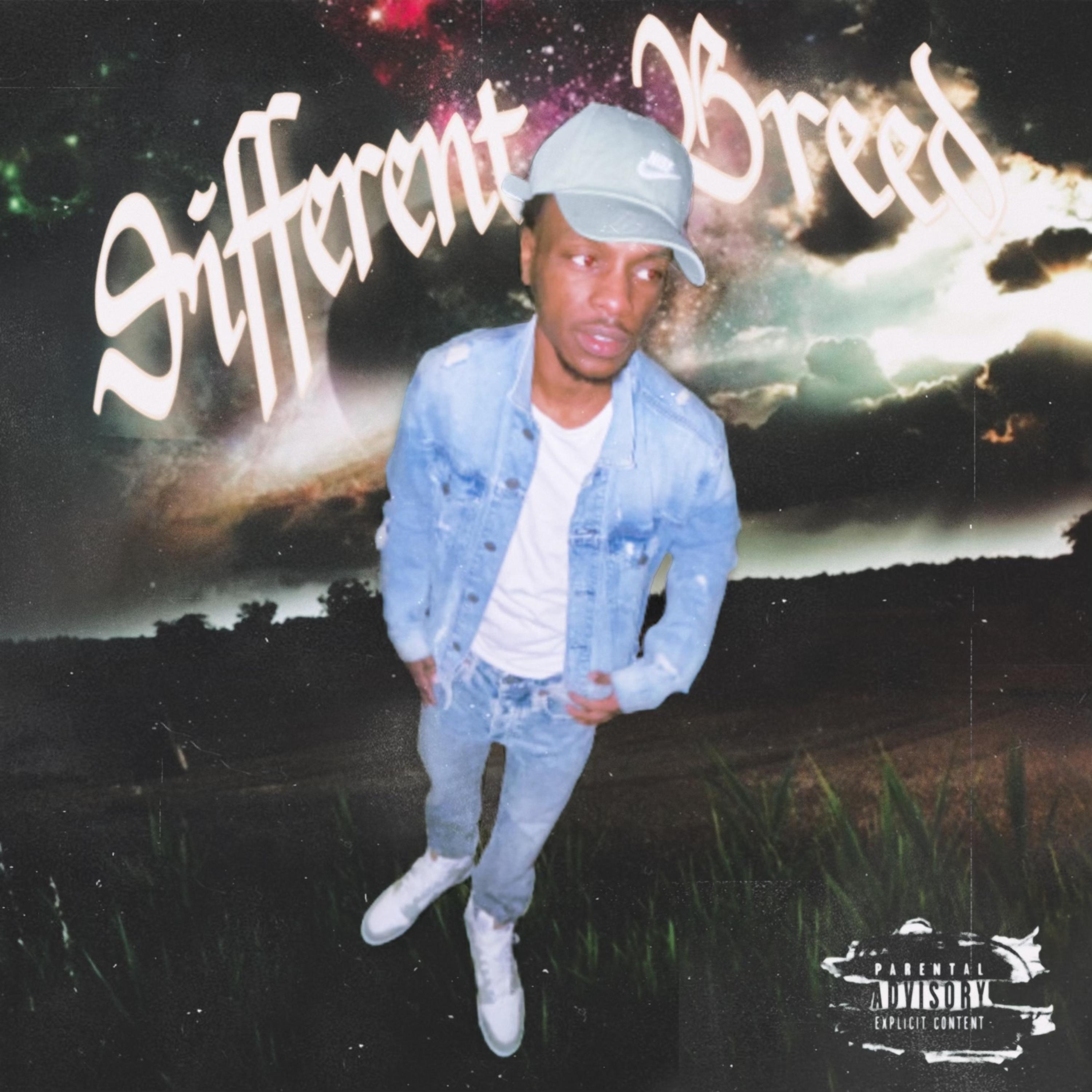 Differnt Breed artwork